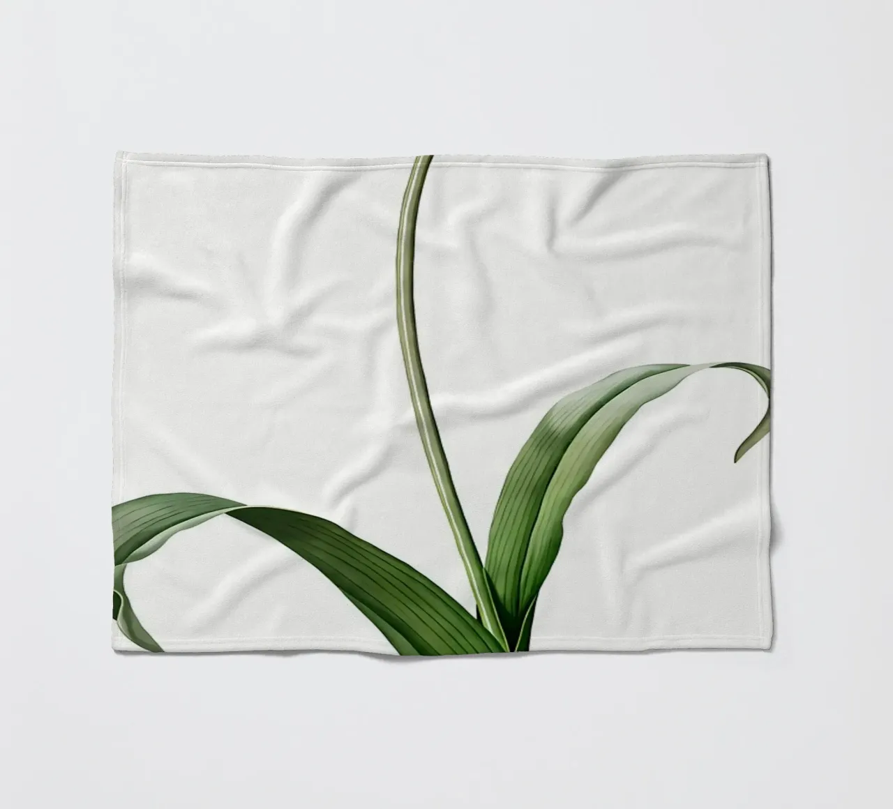 Liliaceae 1805 HQ Orig coperta in pile da Nicholas Campbell