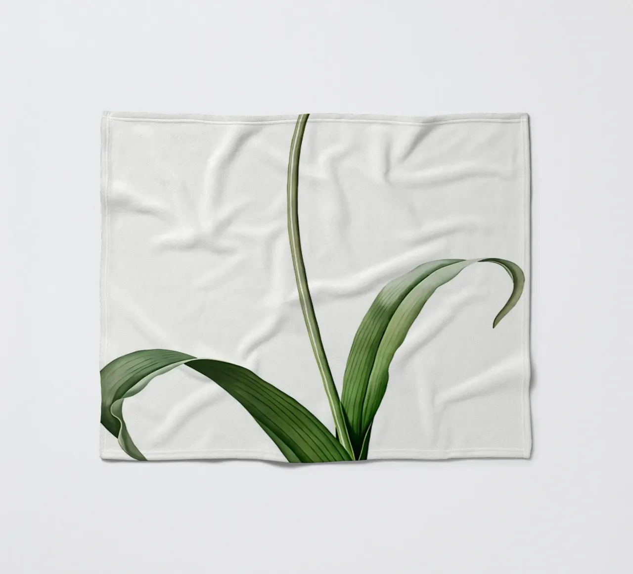 Liliaceae 1805 HQ Orig coperta in pile da Nicholas Campbell