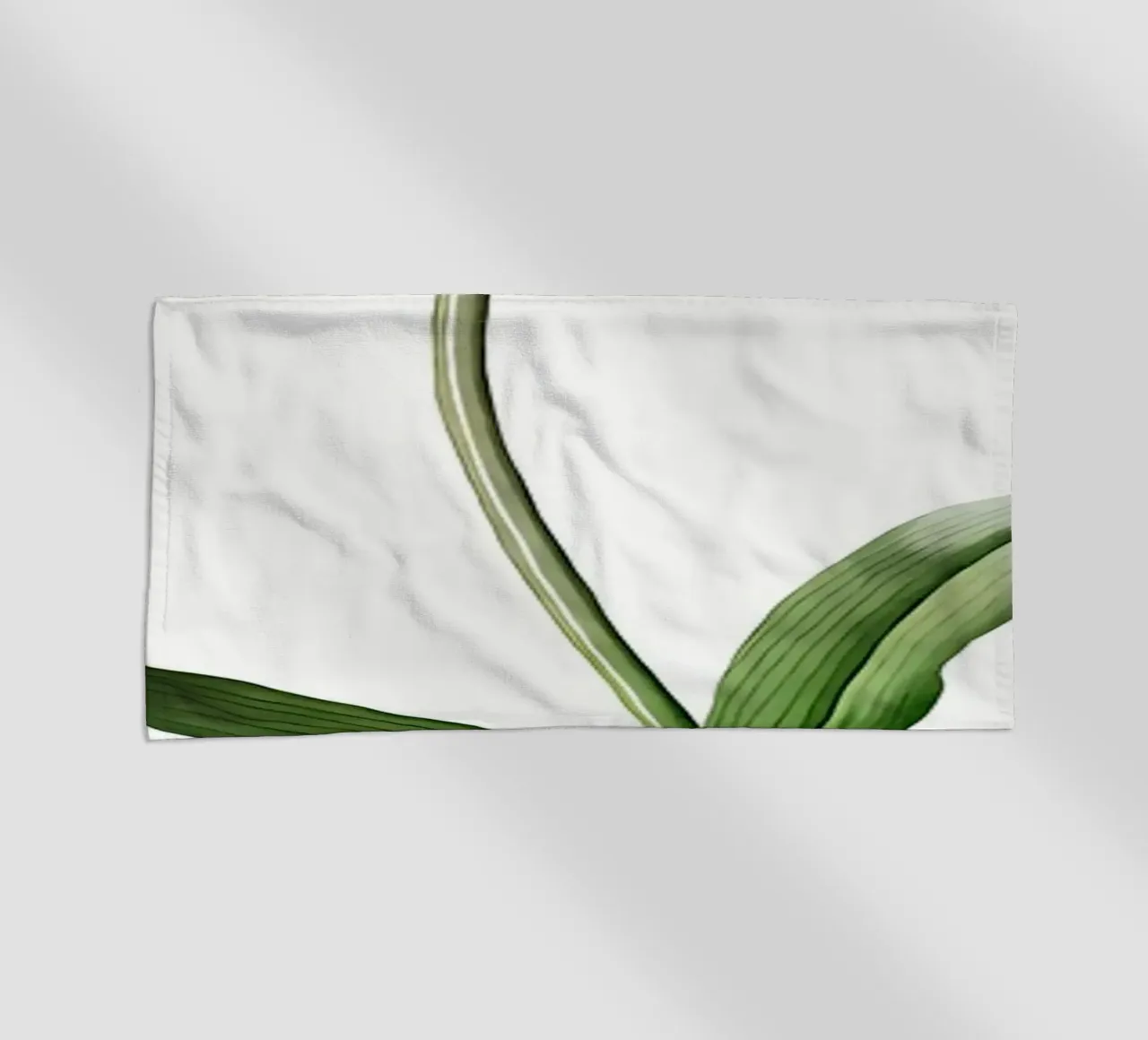 Liliaceae 1805 HQ Orig telo mare da Nicholas Campbell
