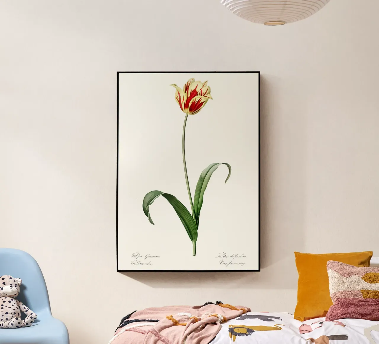 Liliaceae 1805 HQ Orig plexiglass da Nicholas Campbell