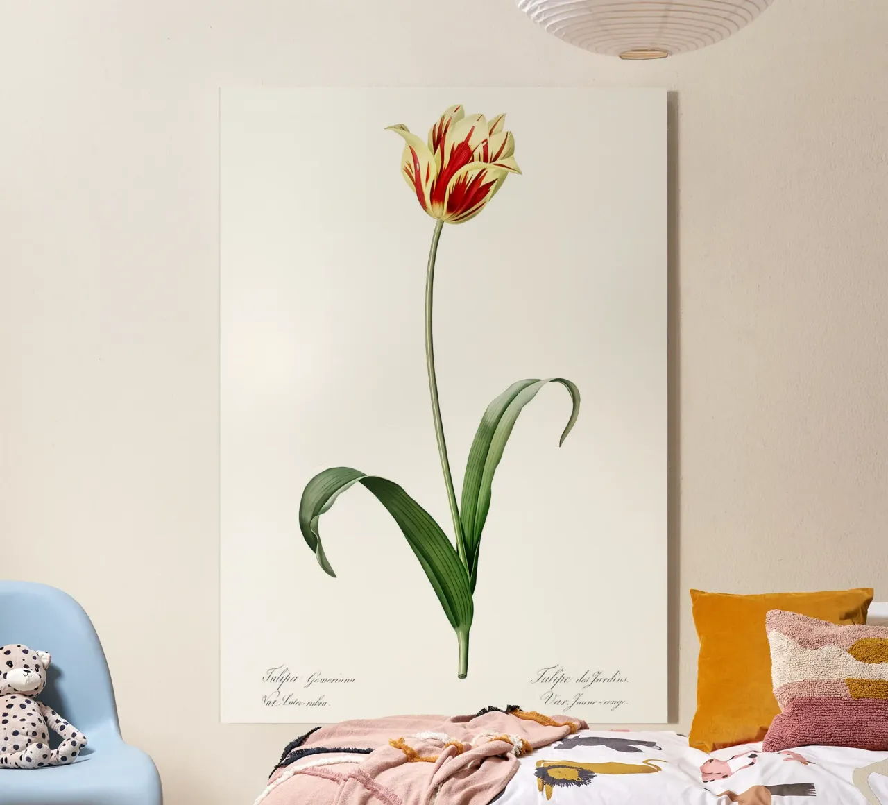 Liliaceae 1805 HQ Orig plexiglass da Nicholas Campbell