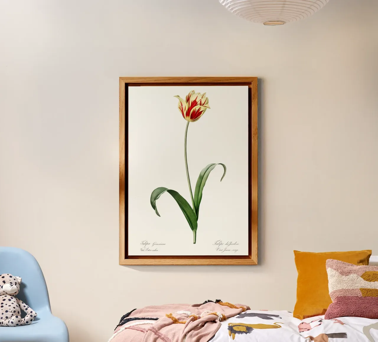 Liliaceae 1805 HQ Orig alluminio dibond da Nicholas Campbell