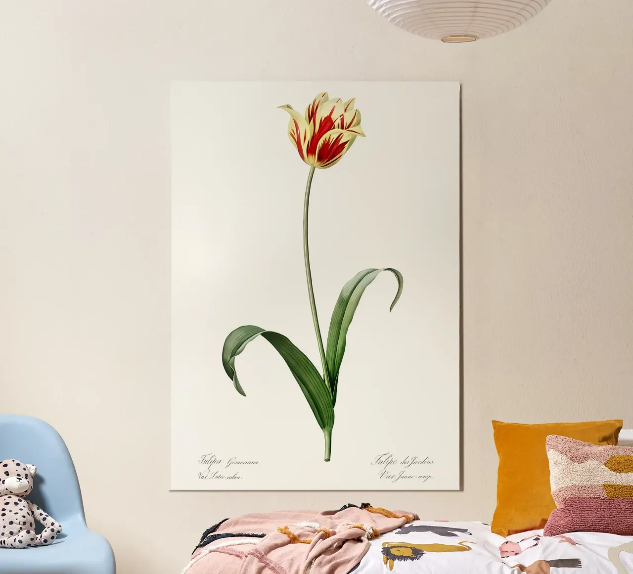 Liliaceae 1805 HQ Orig alluminio dibond da Nicholas Campbell