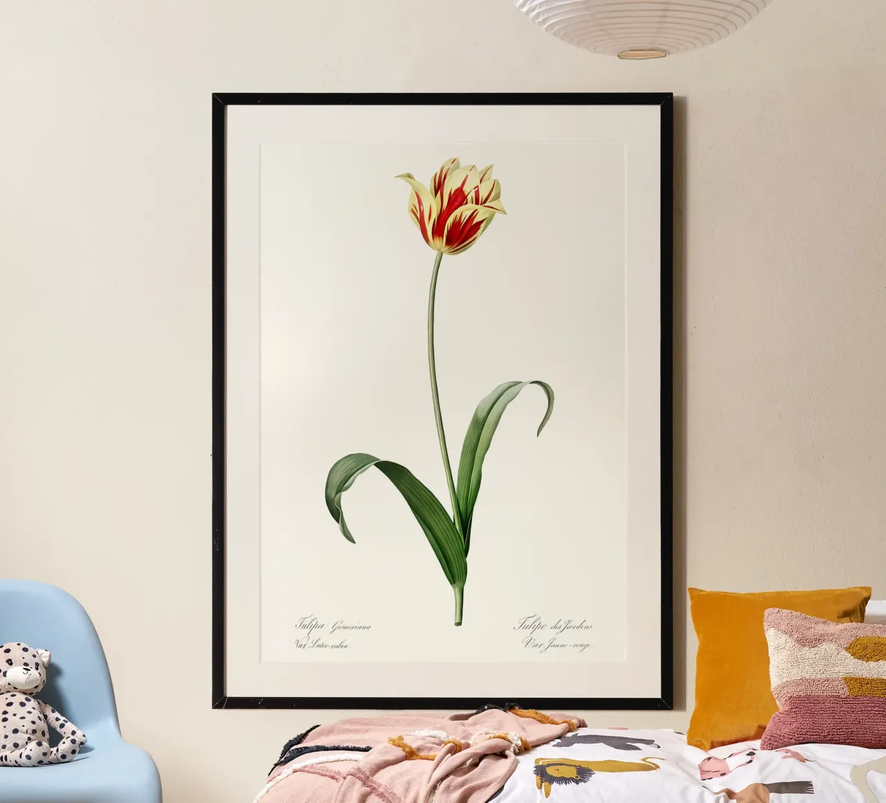 Liliaceae 1805 HQ Orig carta hahnemühle da Nicholas Campbell