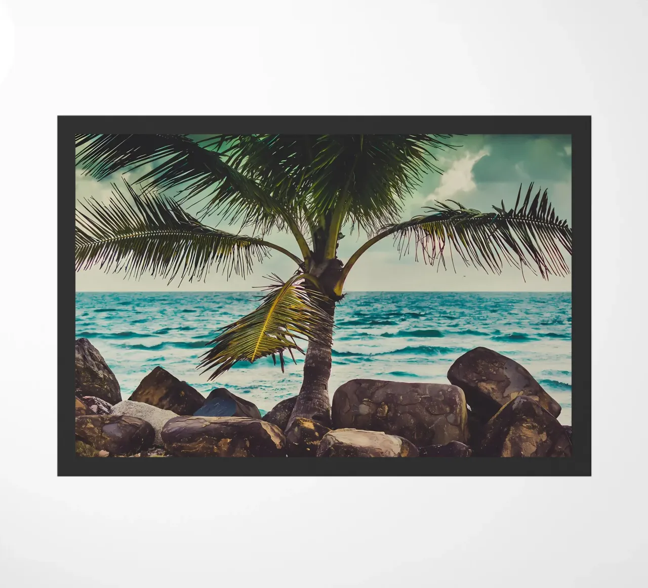 Palma zerbino da Matthew Katz