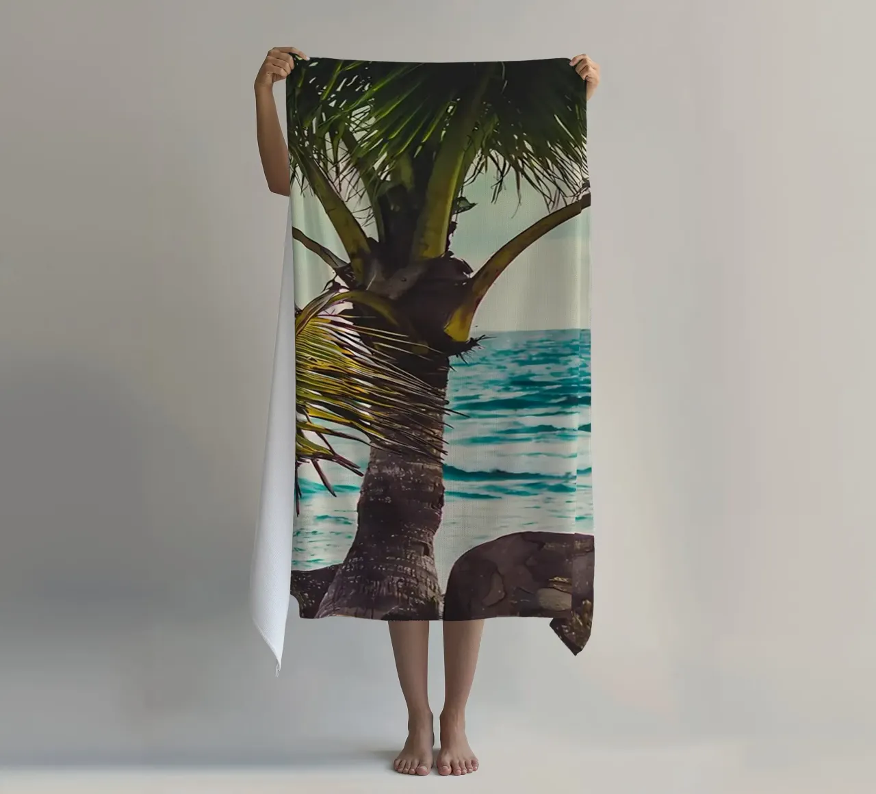 Palma telo mare da Matthew Katz