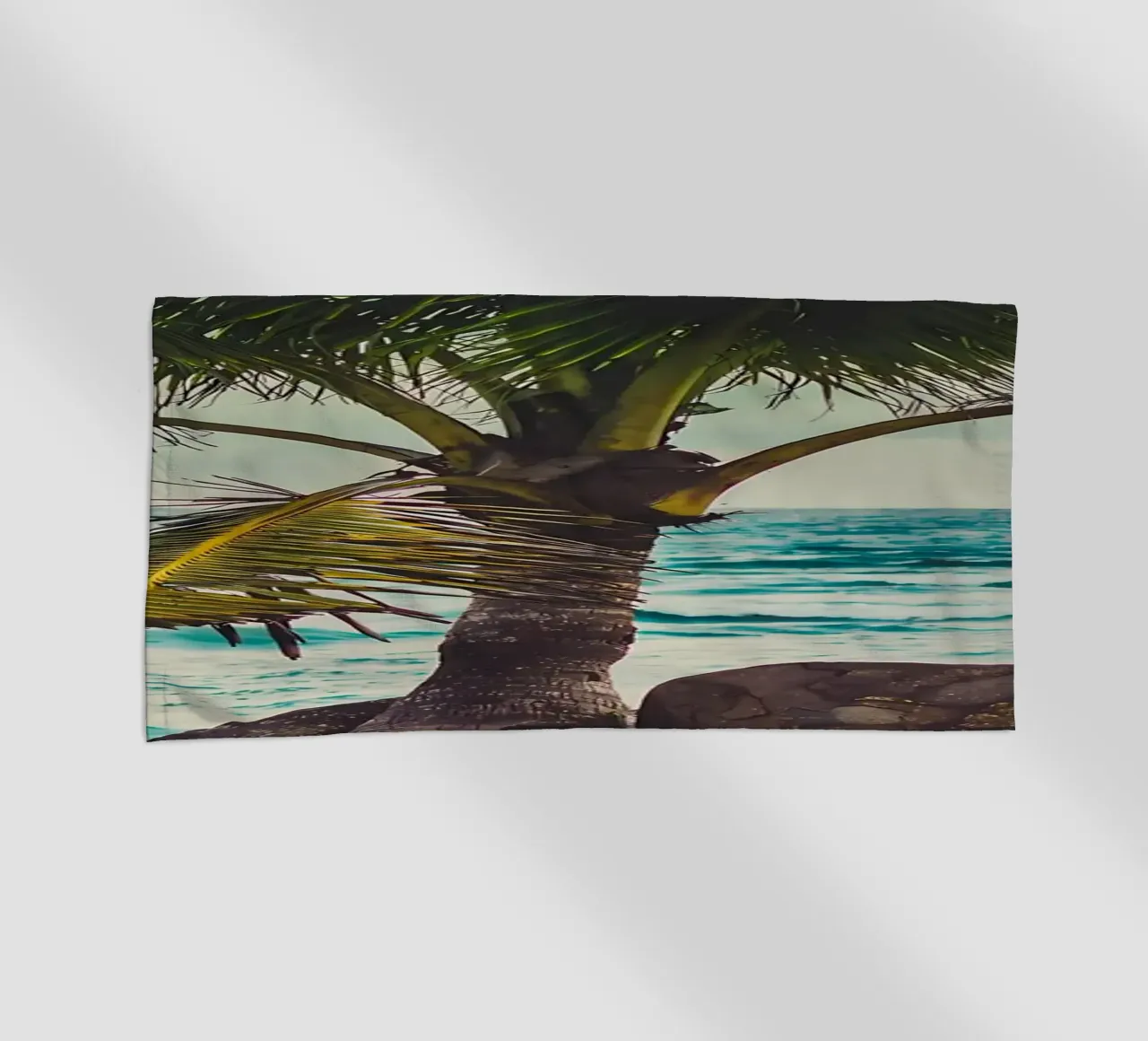 Palma telo mare da Matthew Katz