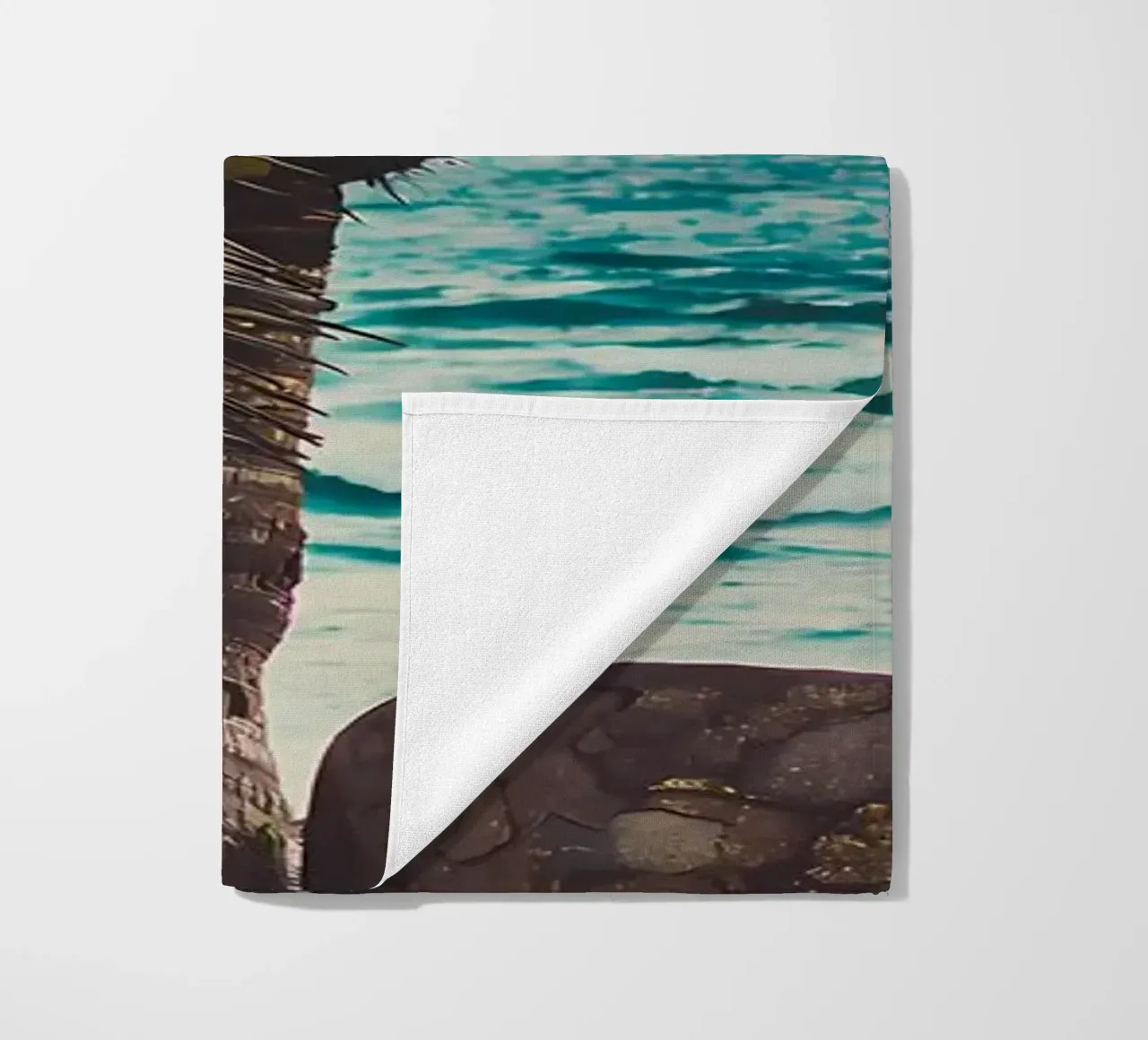 Palma telo mare da Matthew Katz