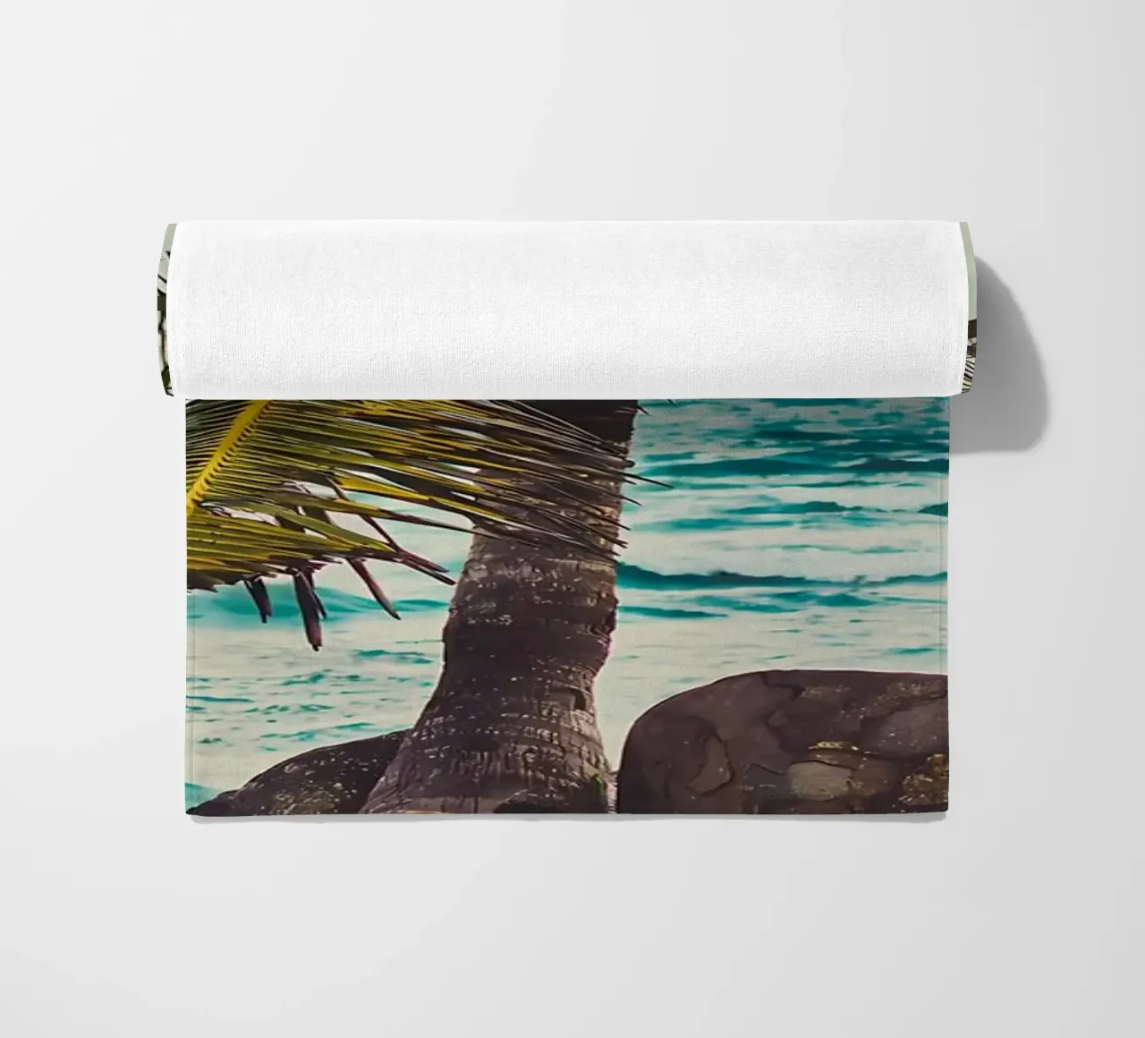 Palma telo mare da Matthew Katz