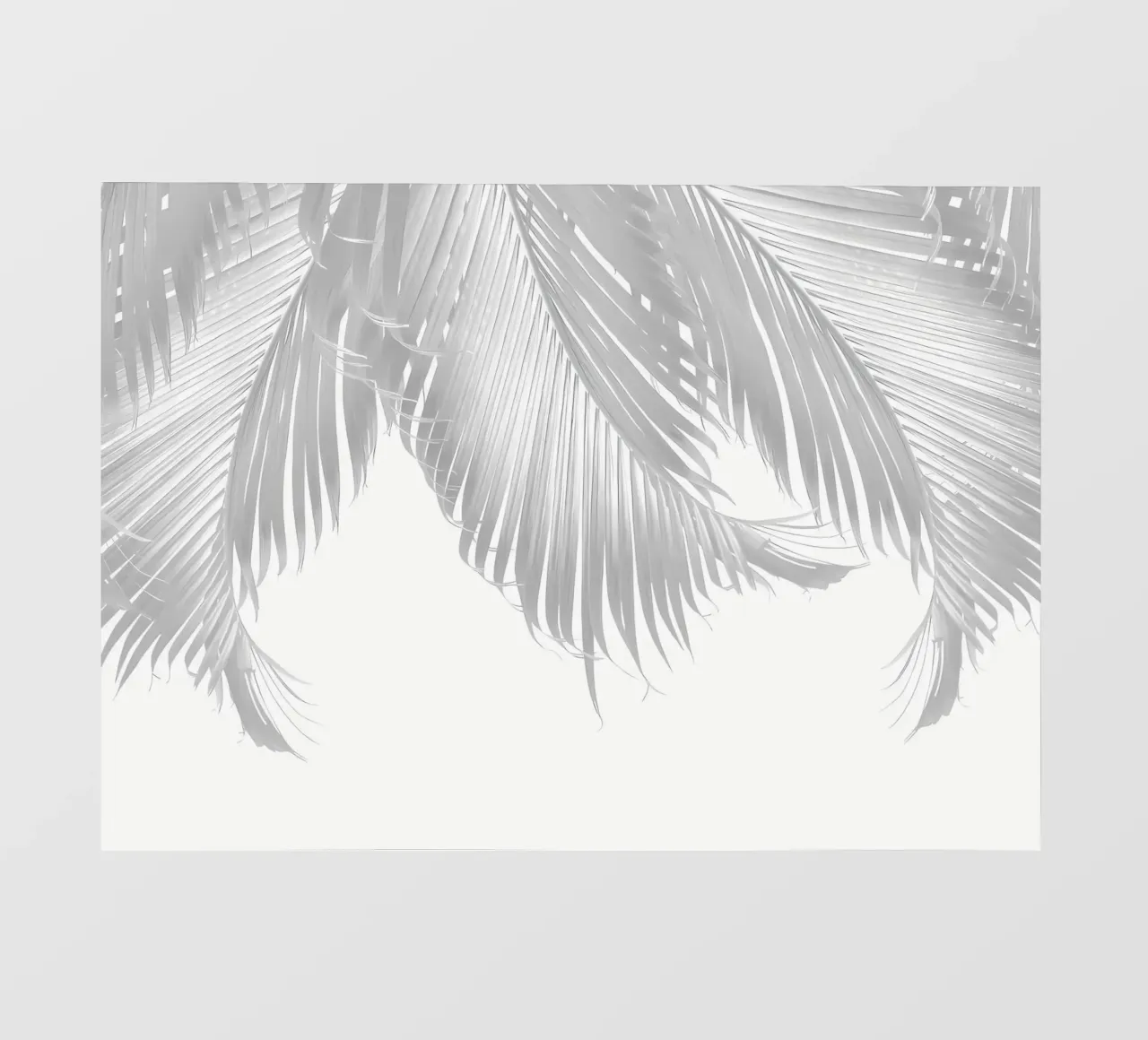 Foglie di palma Finesse 5 telo in pvc da Matthew Katz