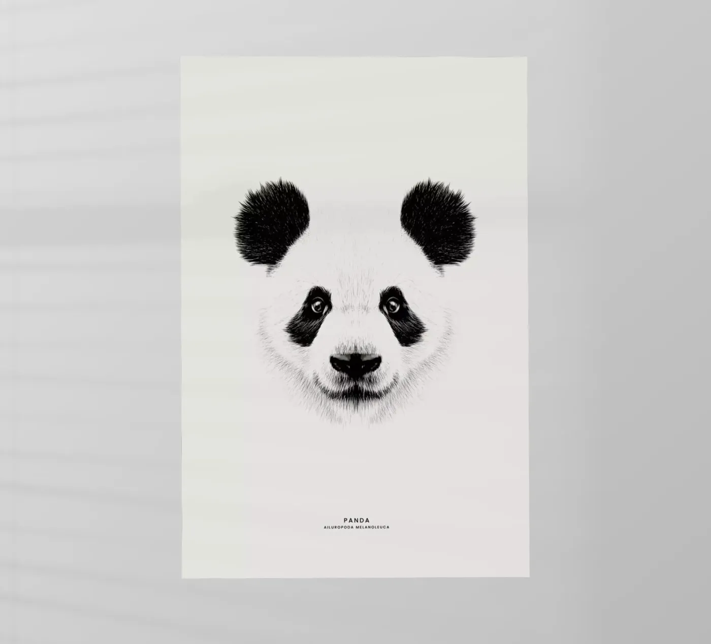 Panda pellicola backlit da Flora & Fauna