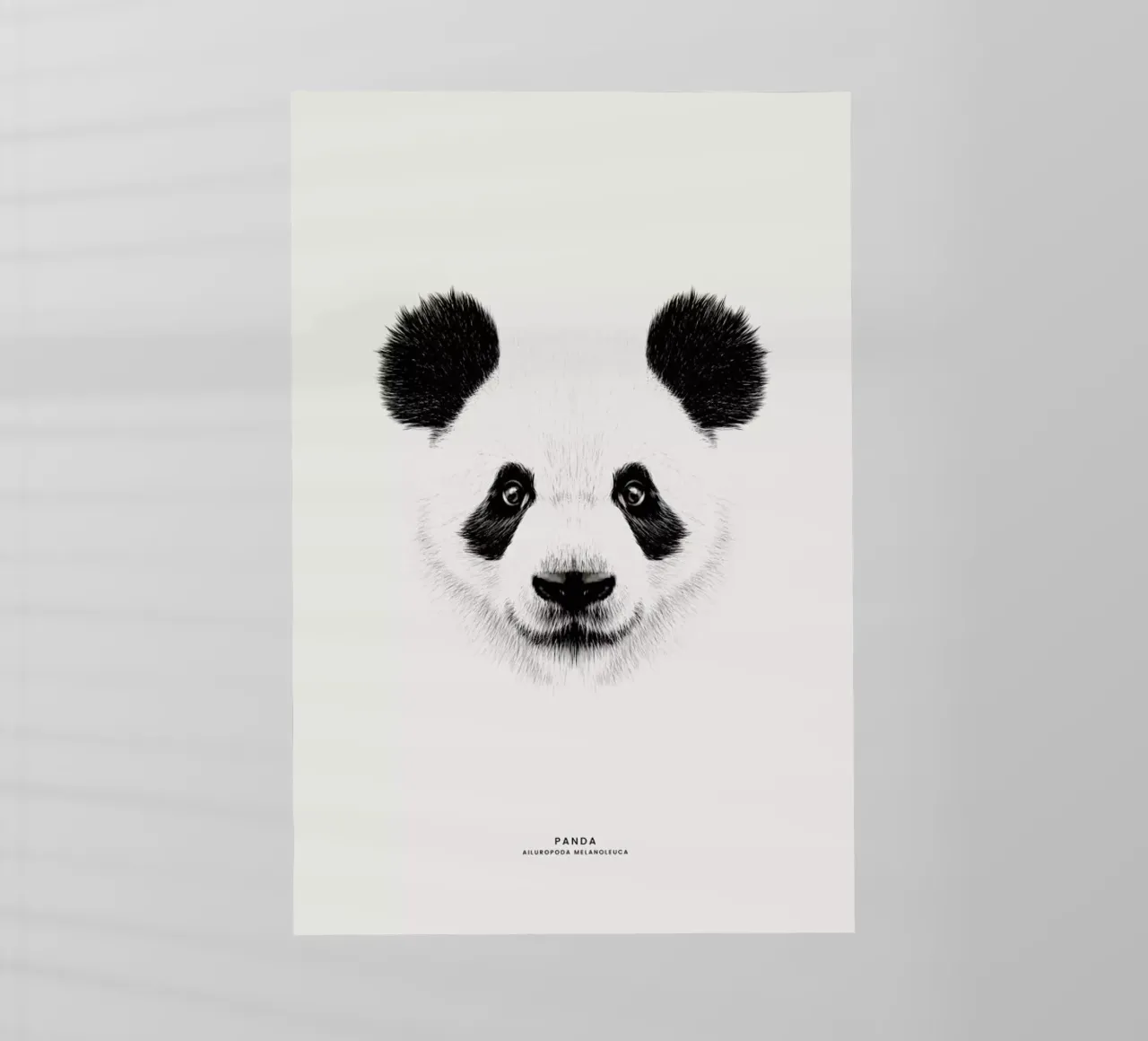 Panda pellicola backlit da Flora & Fauna