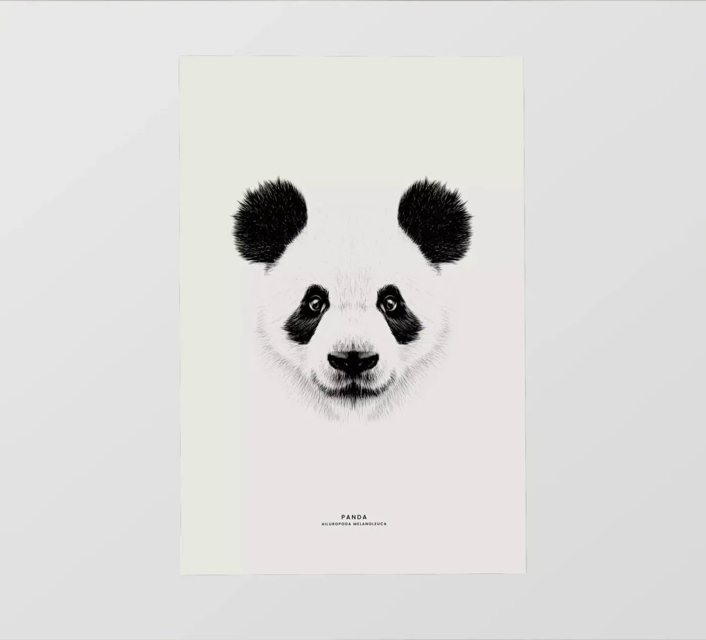 Panda pellicola backlit da Flora & Fauna