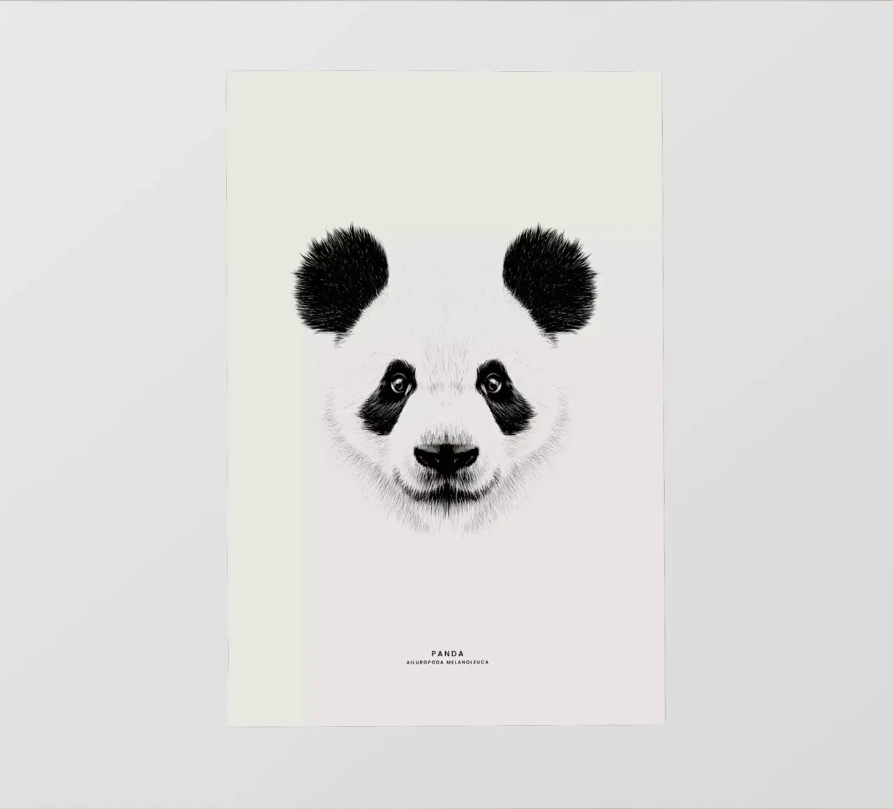 Panda pellicola backlit da Flora & Fauna