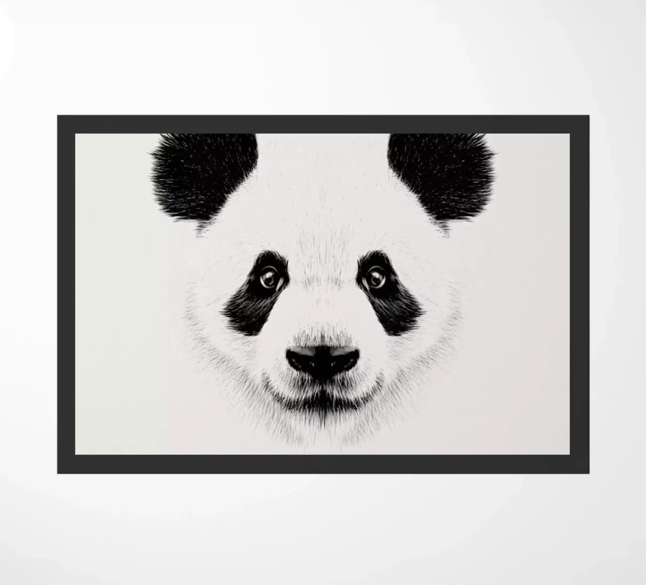 Panda zerbino da Flora & Fauna