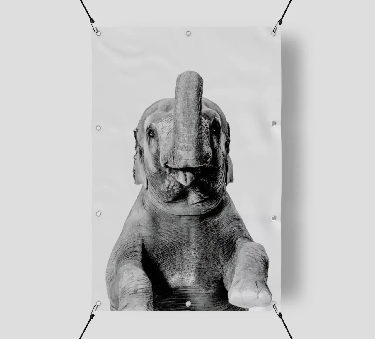 Elephant Classic telo in pvc da Paws & Claws