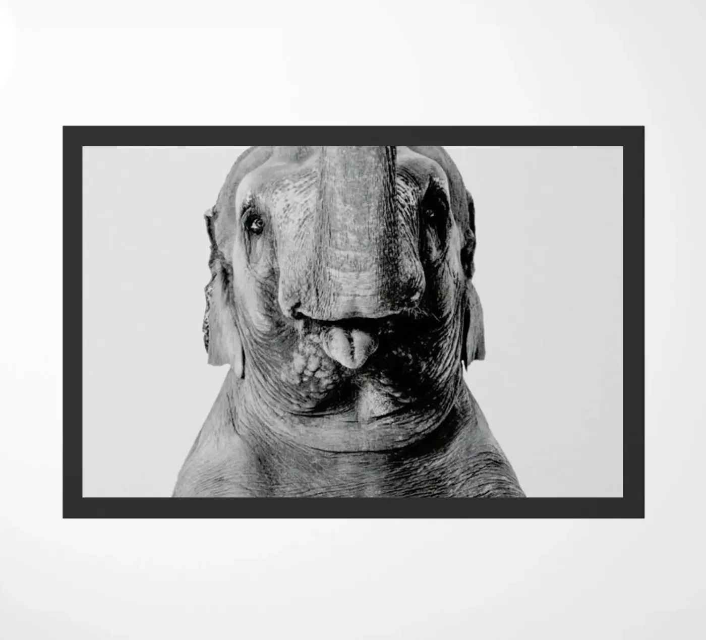 Elephant Classic zerbino da Paws & Claws