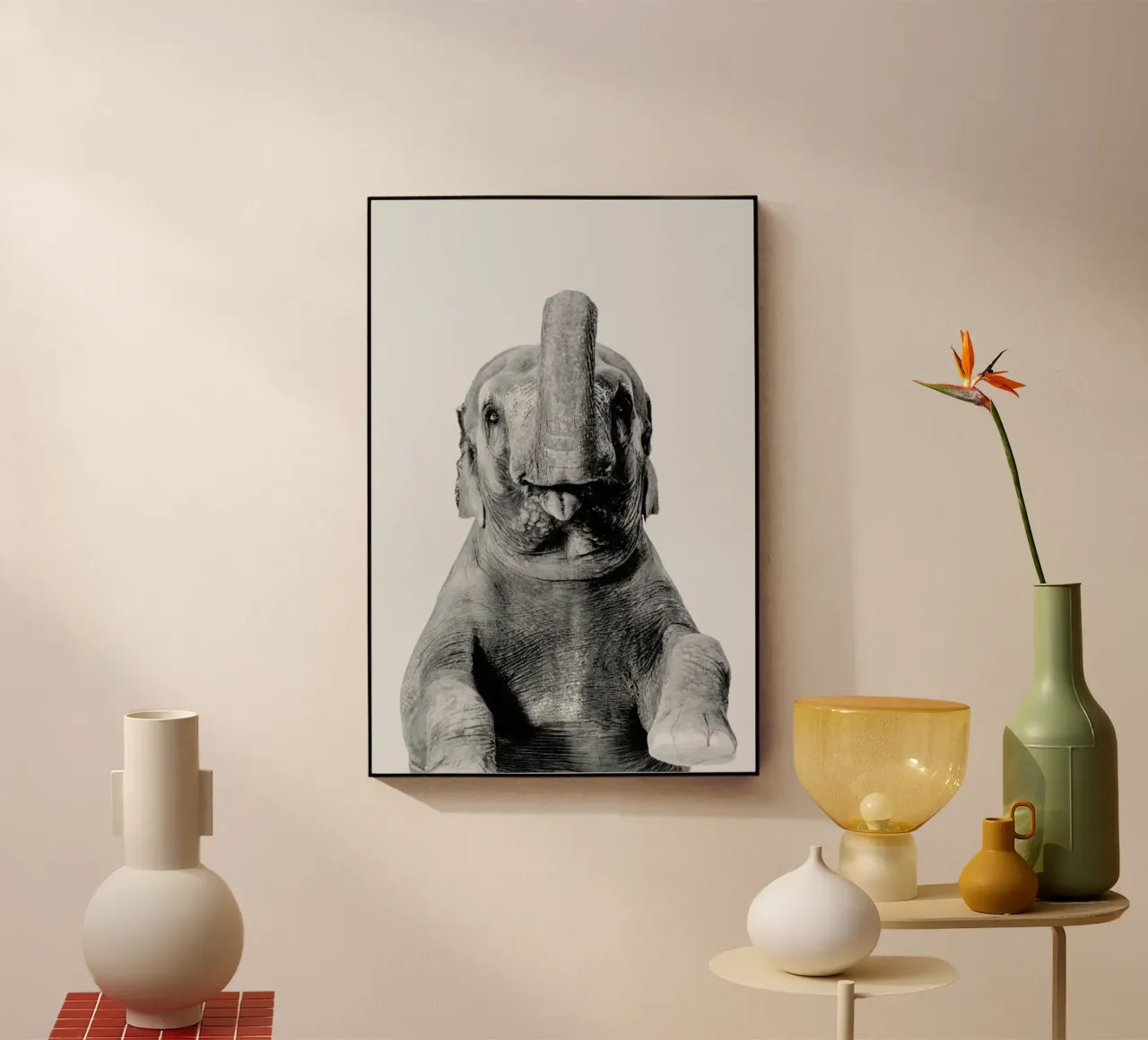 Elephant Classic plexiglass da Paws & Claws