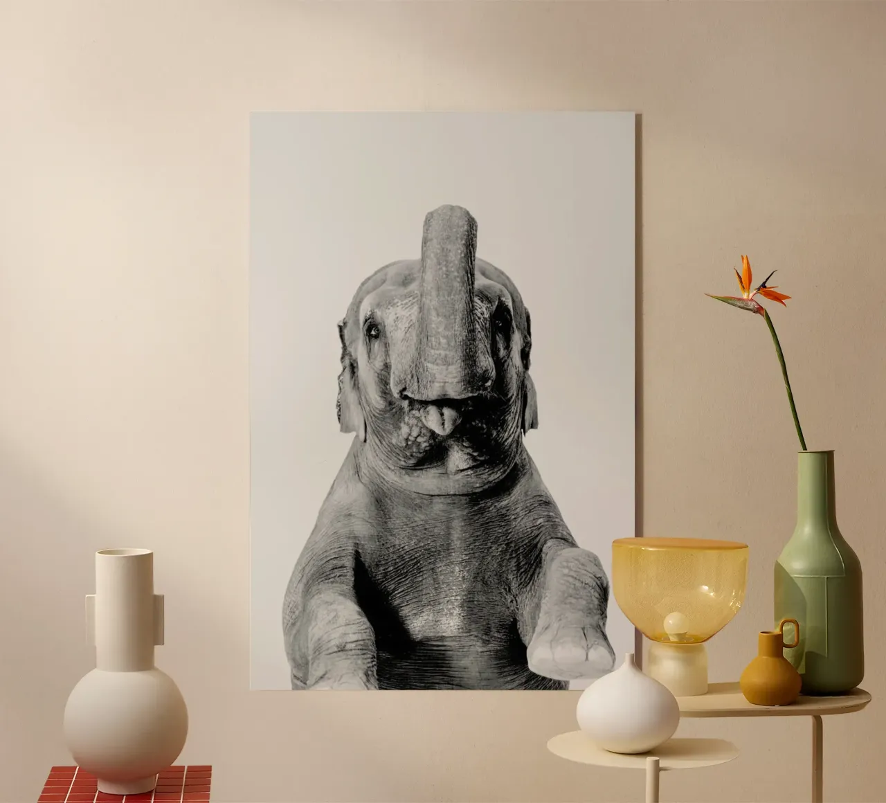 Elephant Classic plexiglass da Paws & Claws