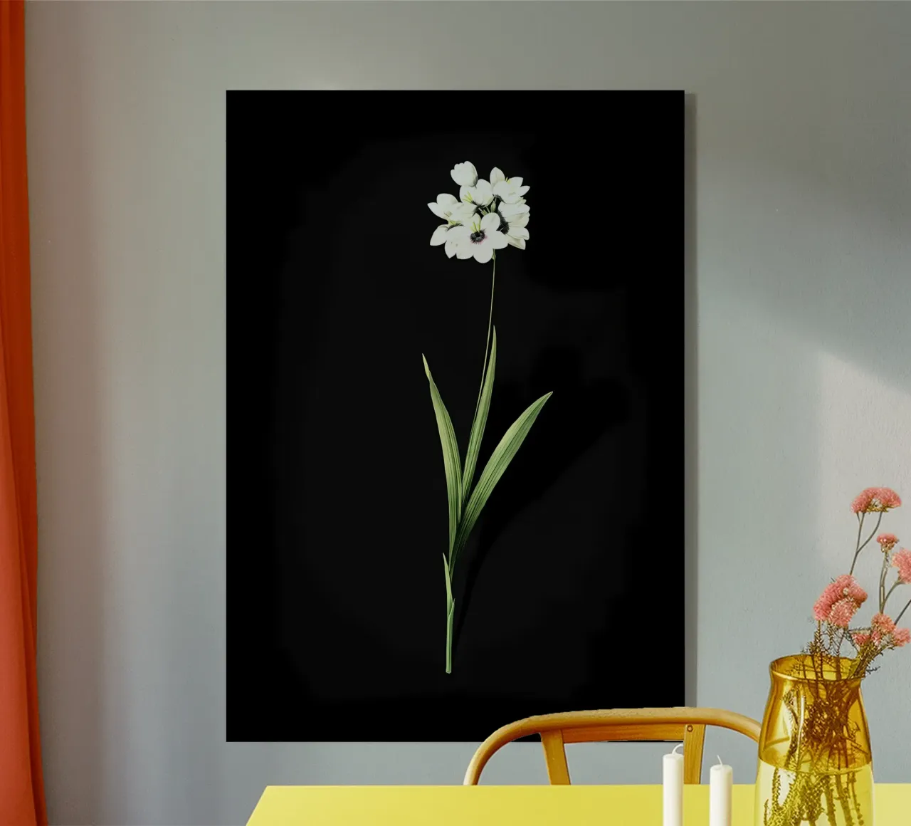 Ixia Maculata d'epoca plexiglass da Nicholas Campbell