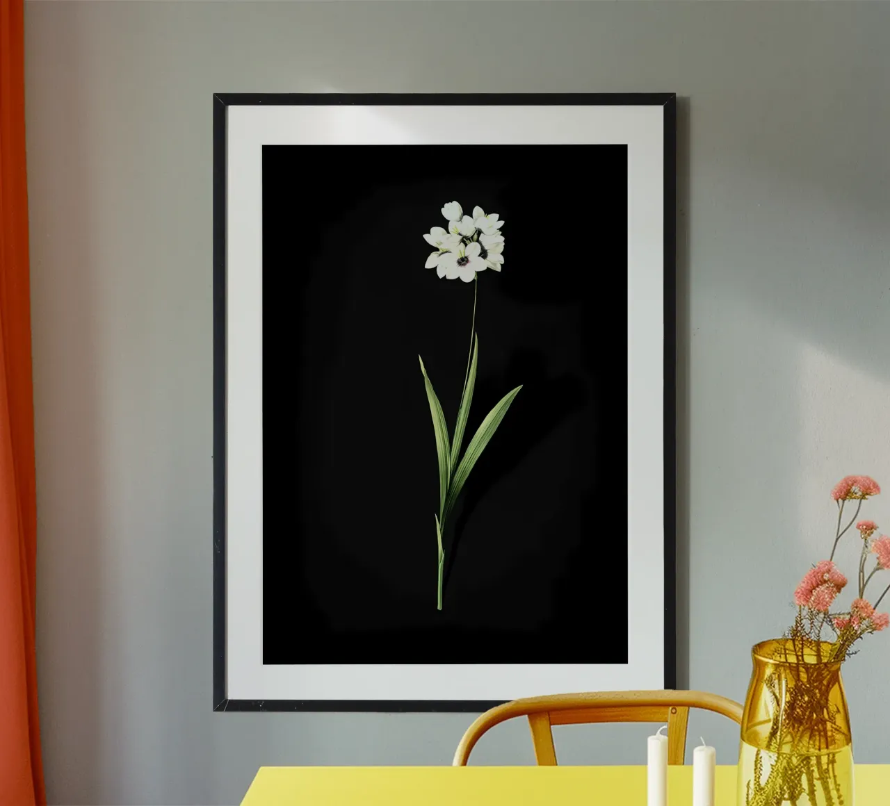 Ixia Maculata d'epoca carta hahnemühle da Nicholas Campbell