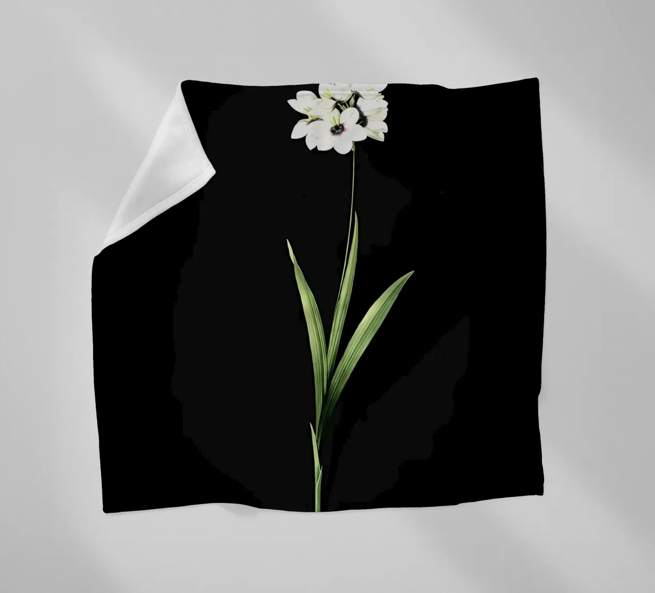Ixia Maculata d'epoca coperta in pile da Nicholas Campbell