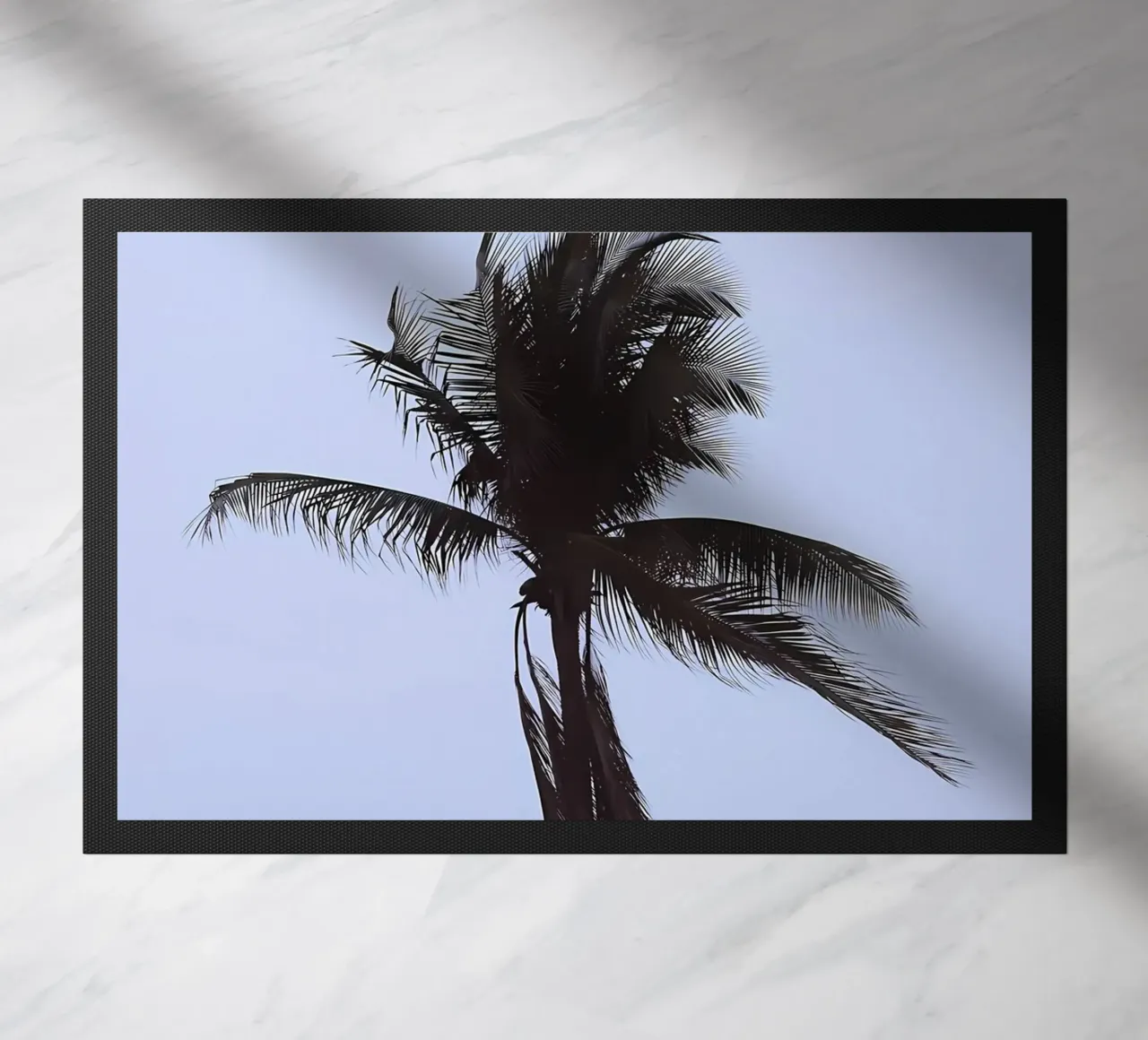 Palma zerbino da Matthew Katz