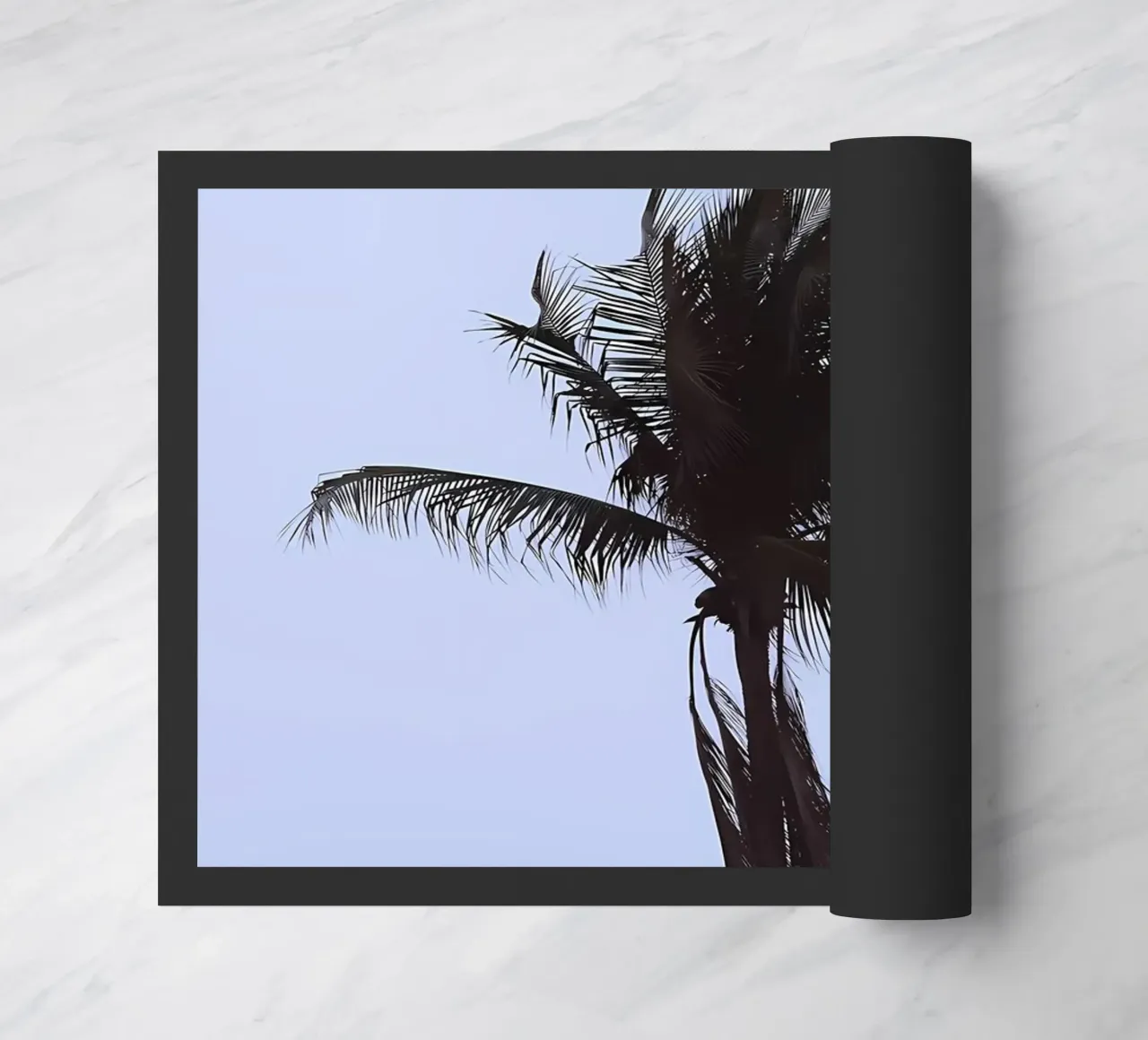 Palma zerbino da Matthew Katz