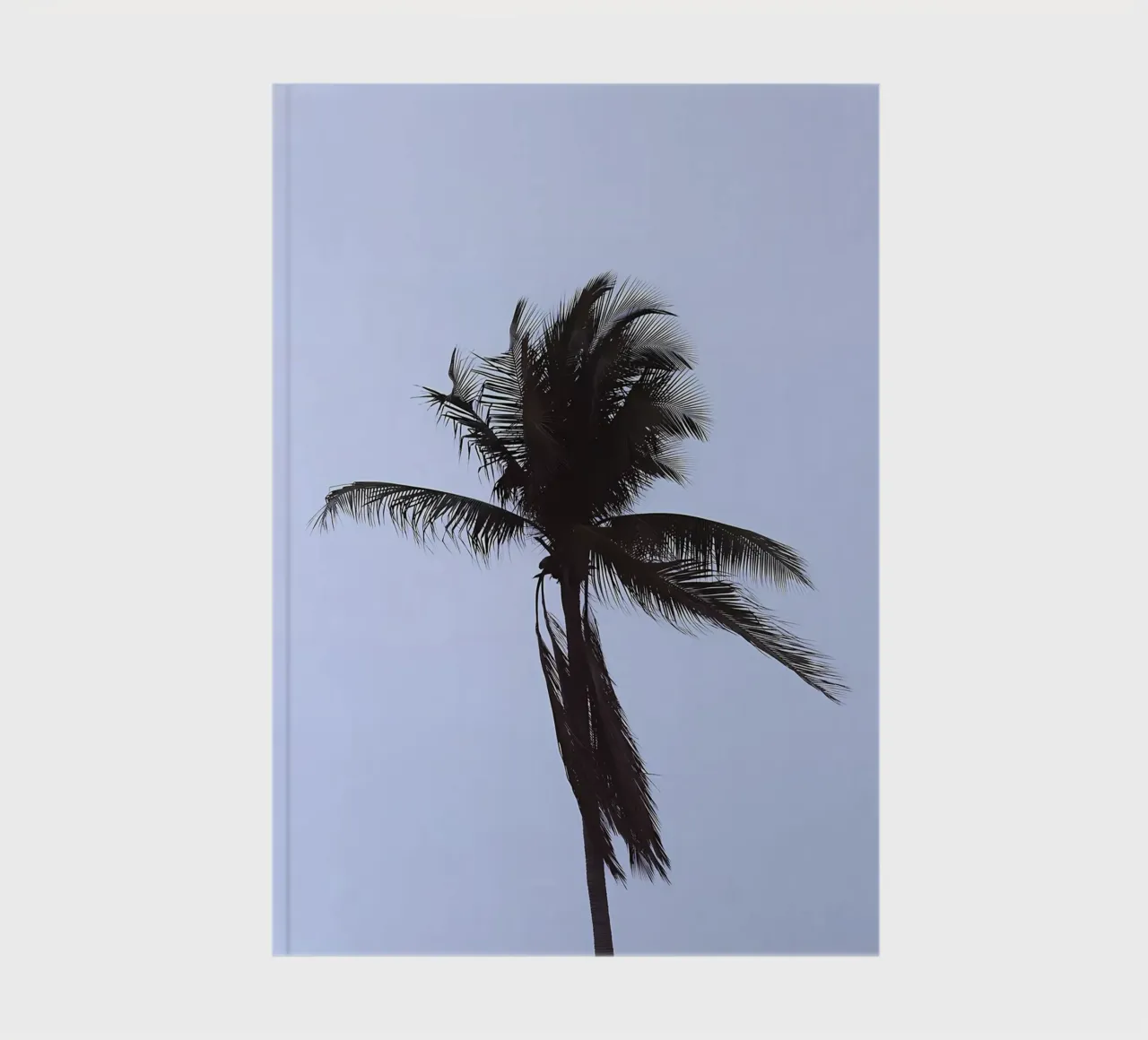 Palm Tree notebook by Matthew Katz
