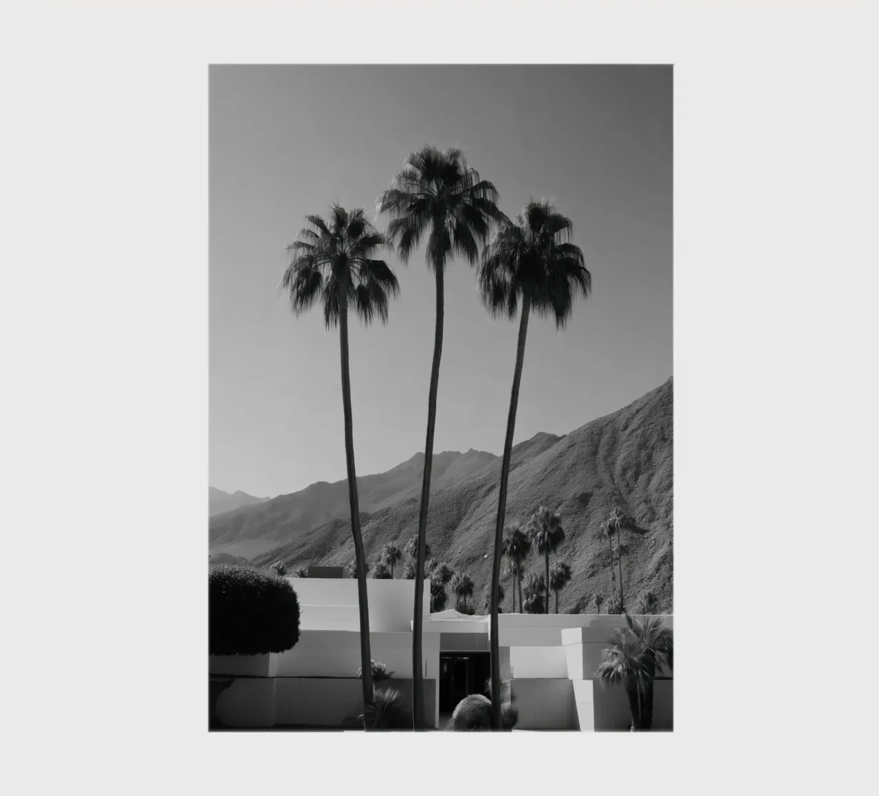 Mid-Century Modern Palm Trees notebook by Indigo Tides Art