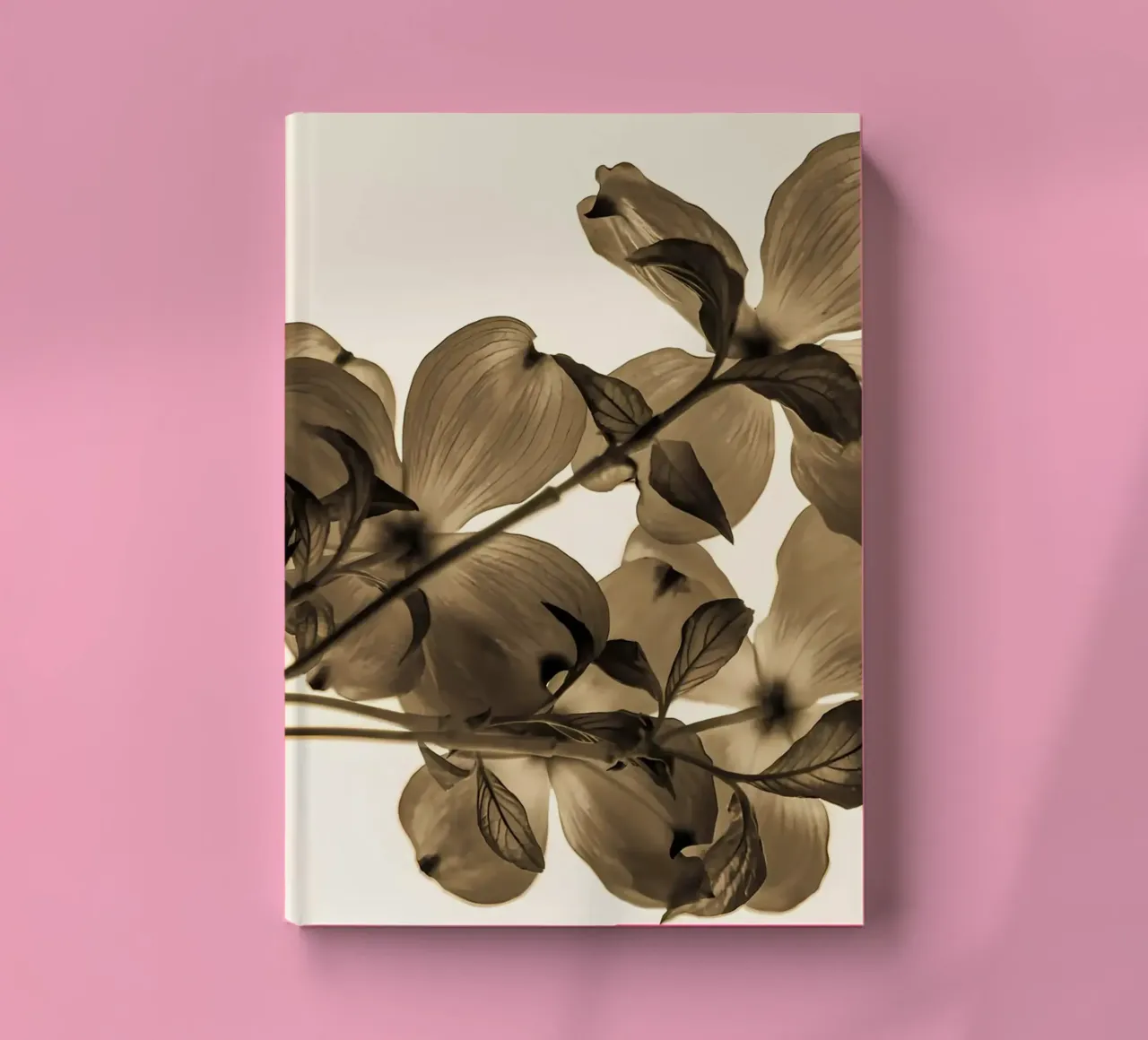 Minimum transparency notebook by Nicholas Campbell