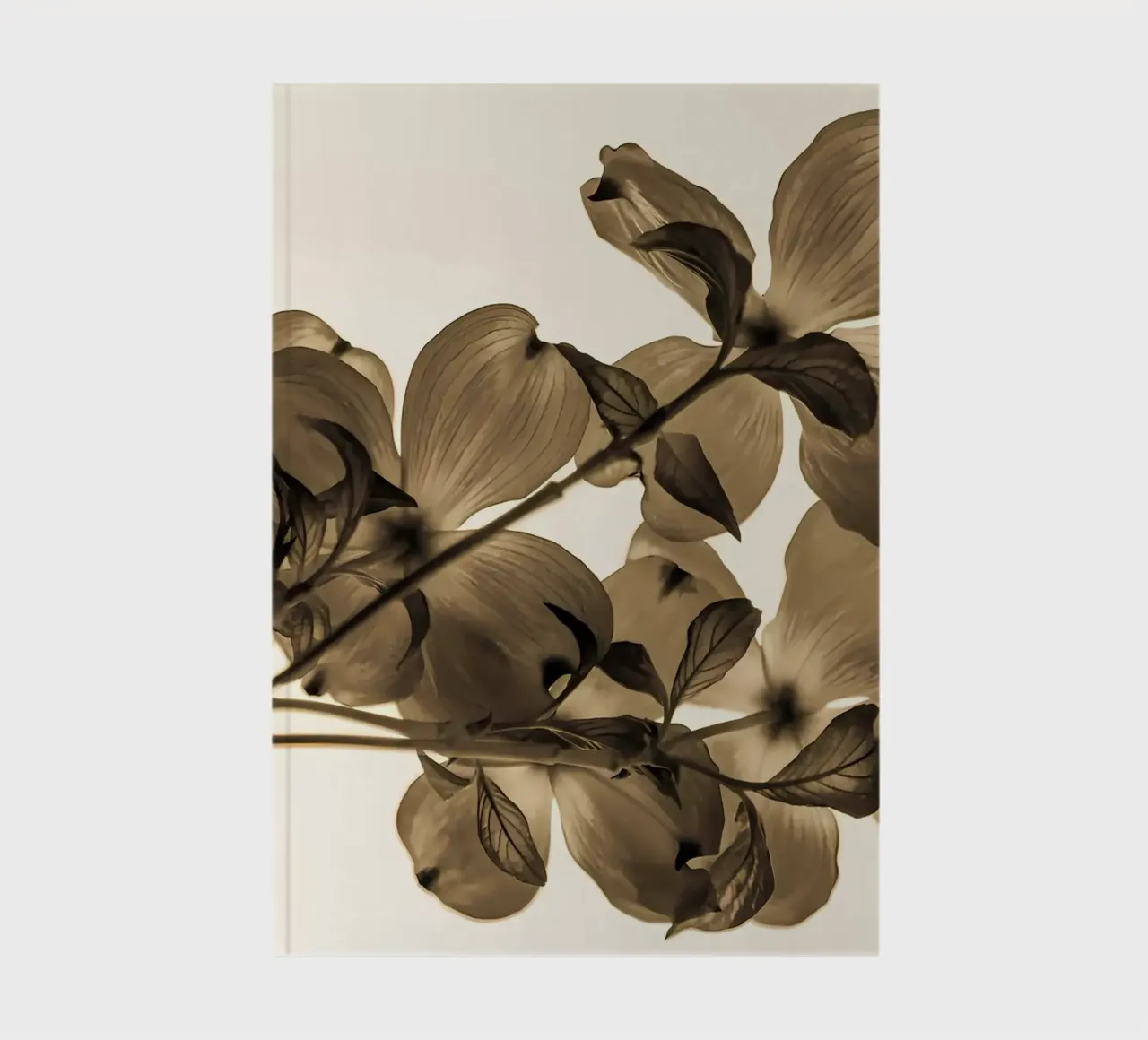 Minimum transparency notebook by Nicholas Campbell