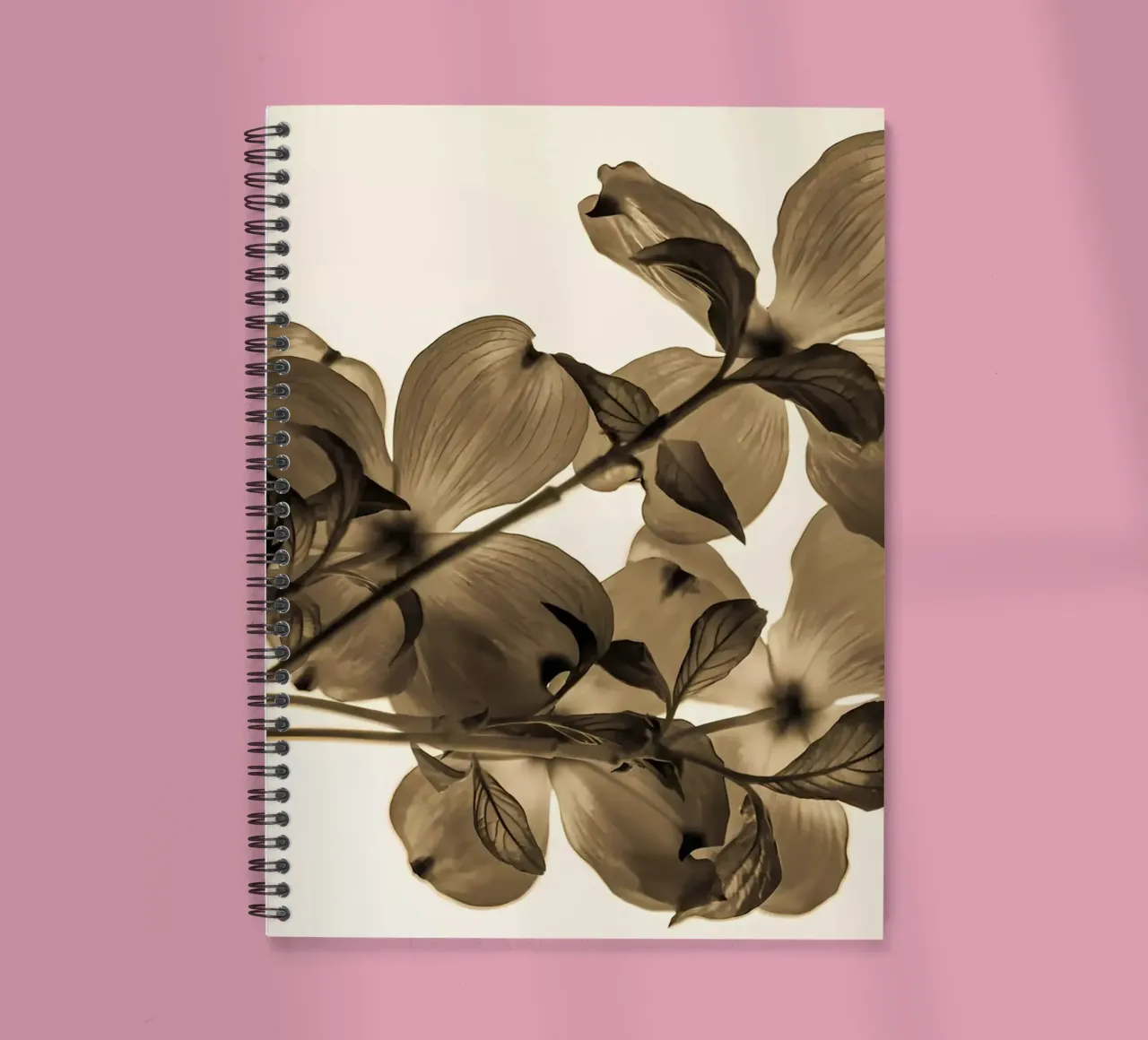 Minimum transparency spiral notebook by Nicholas Campbell
