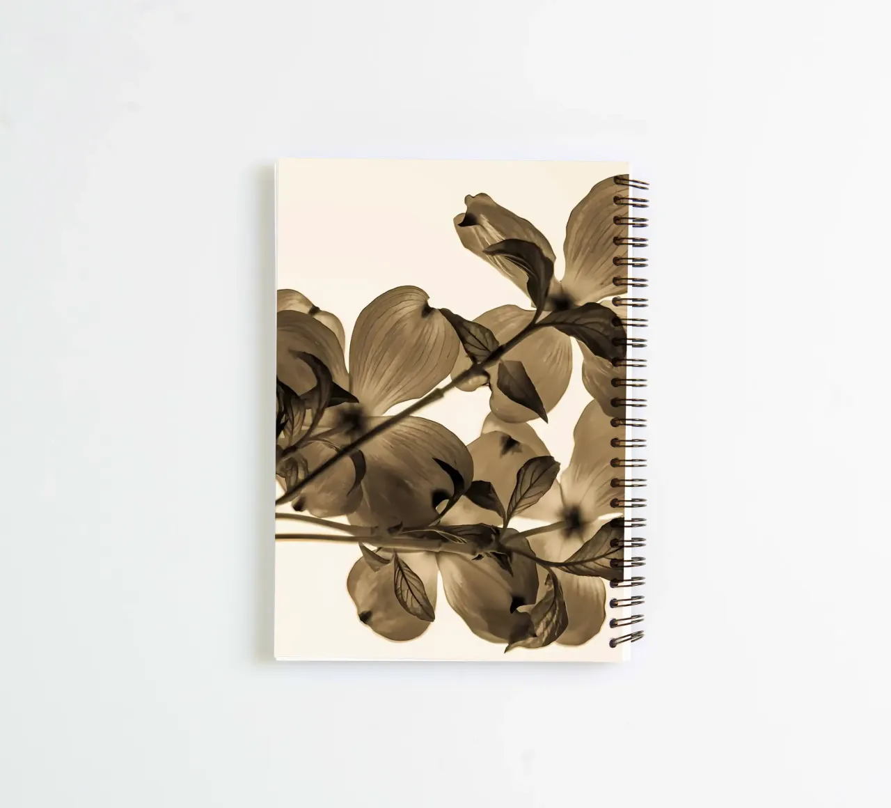 Minimum transparency spiral notebook by Nicholas Campbell