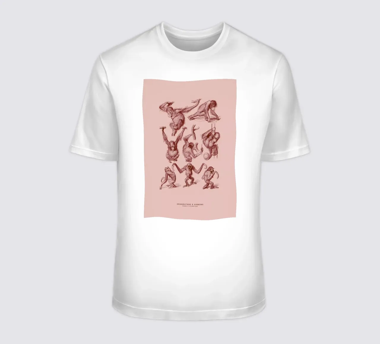 Orangutans and Gibbons II t-shirt da Flora & Fauna