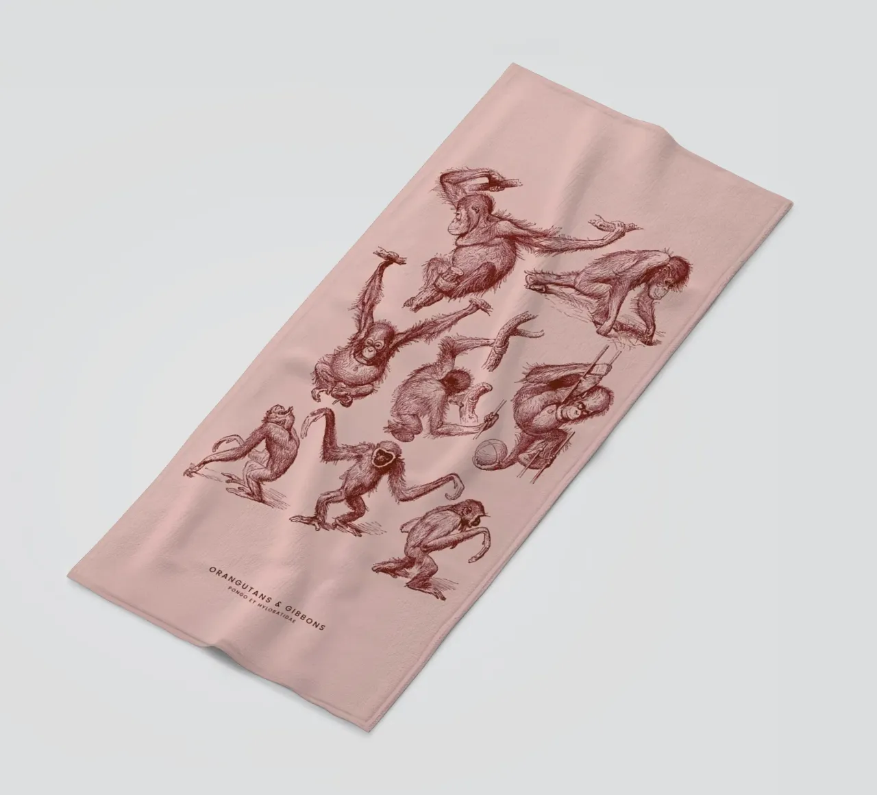 Orangutans and Gibbons II telo mare da Flora & Fauna