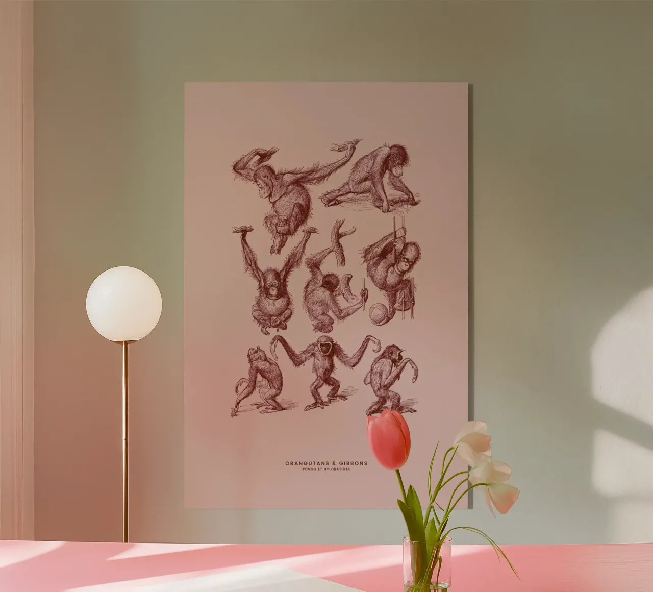 Orangutans and Gibbons II plexiglass da Flora & Fauna
