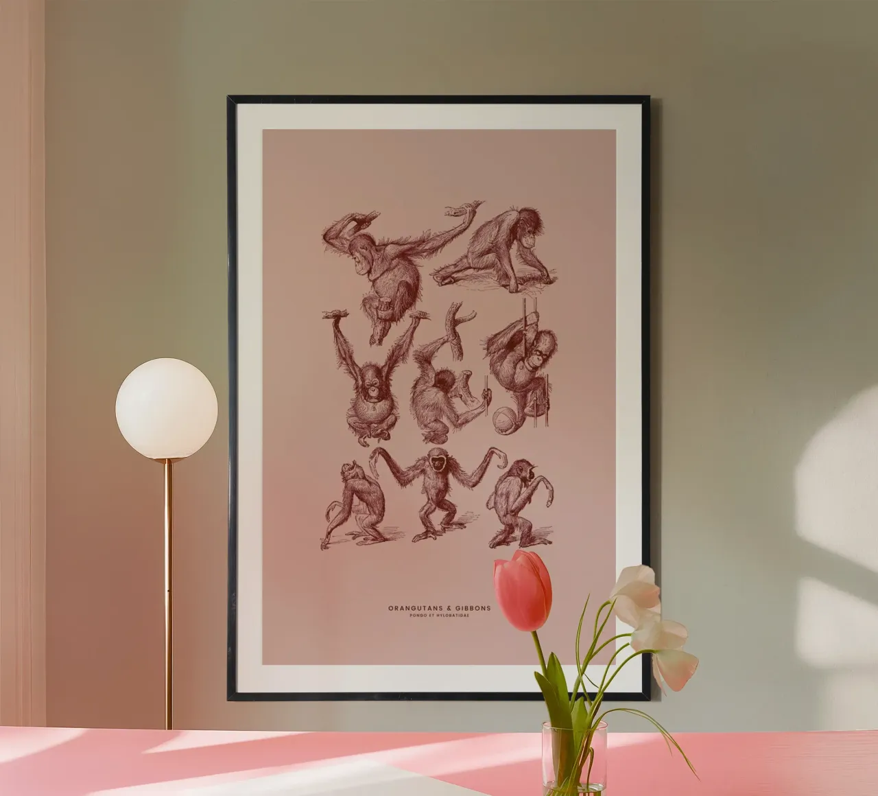 Orangutans and Gibbons II poster with aluminum frame by Flora & Fauna