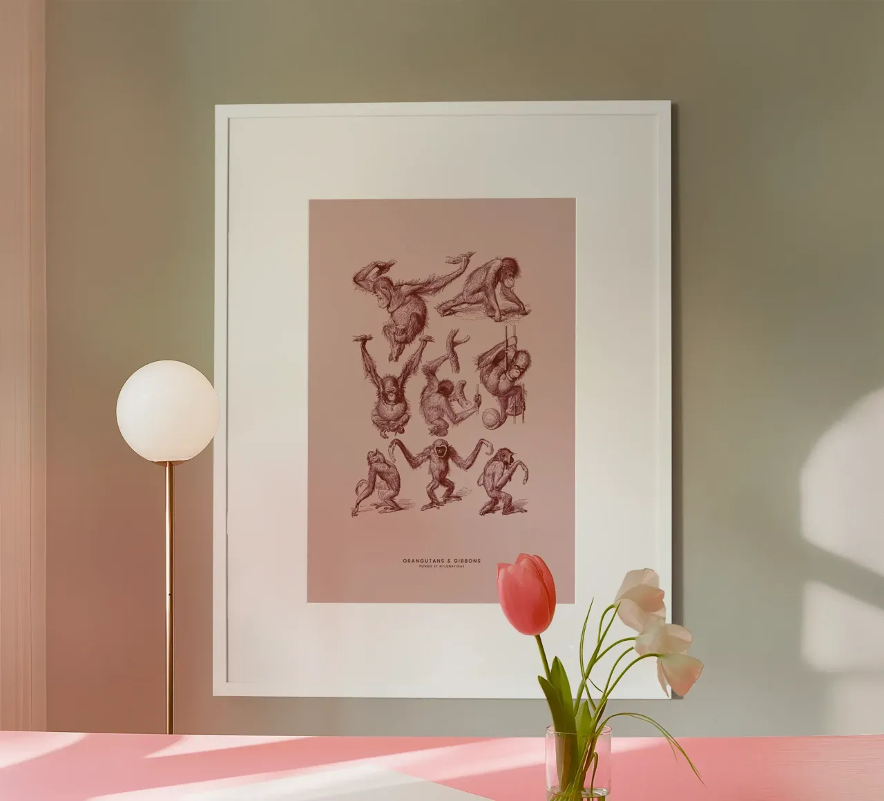Orangutans and Gibbons II poster with aluminum frame by Flora & Fauna