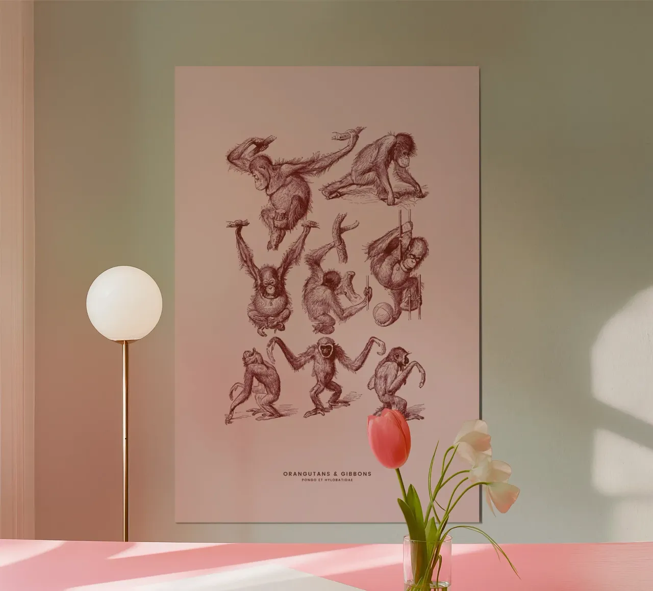 Orangutans and Gibbons II poster with aluminum frame by Flora & Fauna