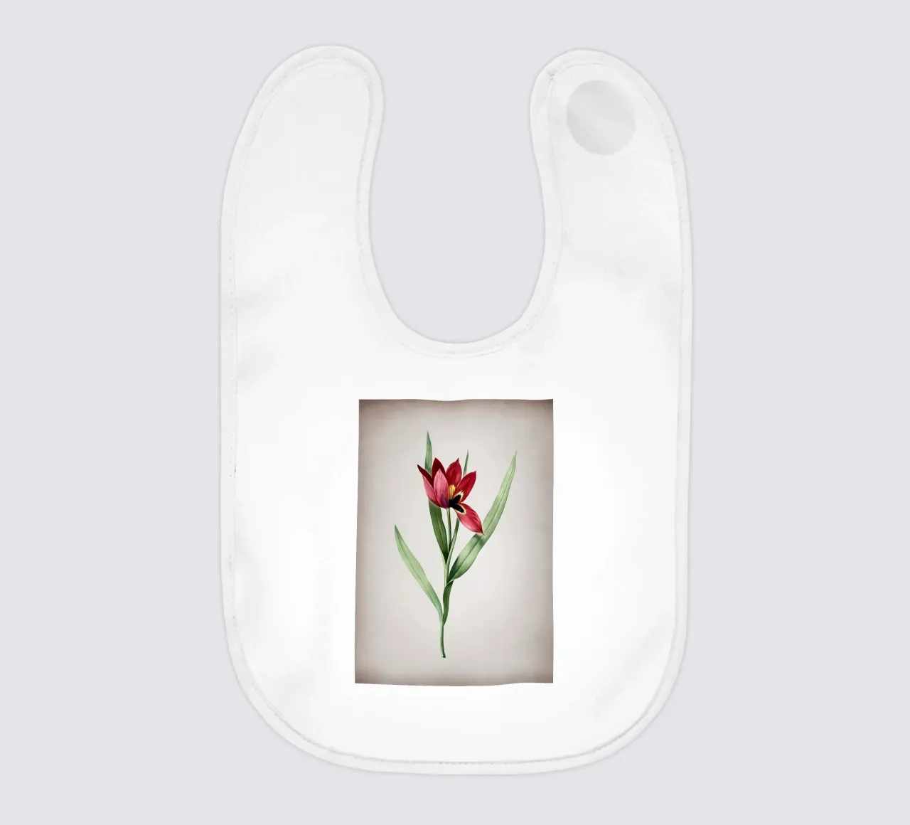 Tulipa Oculus Colis bavaglino da Nicholas Campbell
