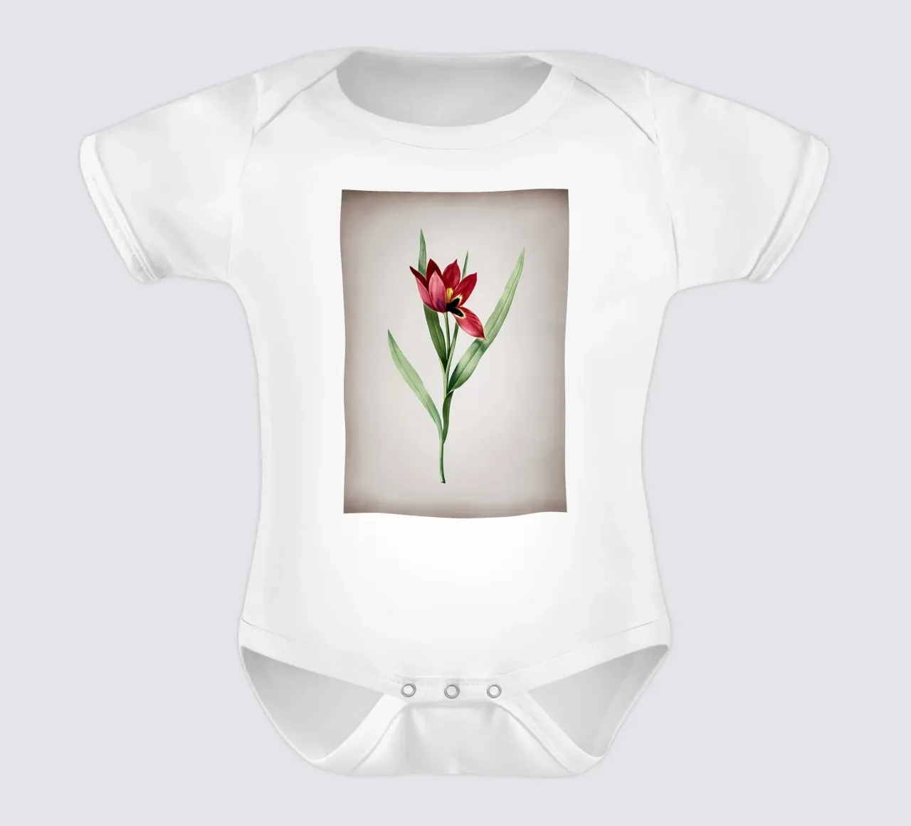 Tulipa Oculus Colis body neonato maniche corte da Nicholas Campbell