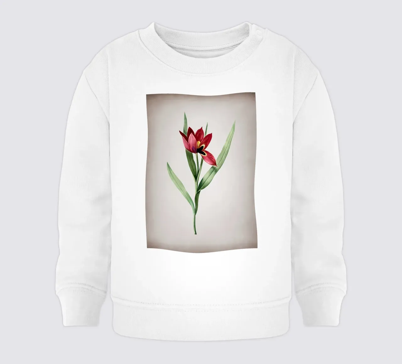 Tulipa Oculus Colis felpa neonato da Nicholas Campbell