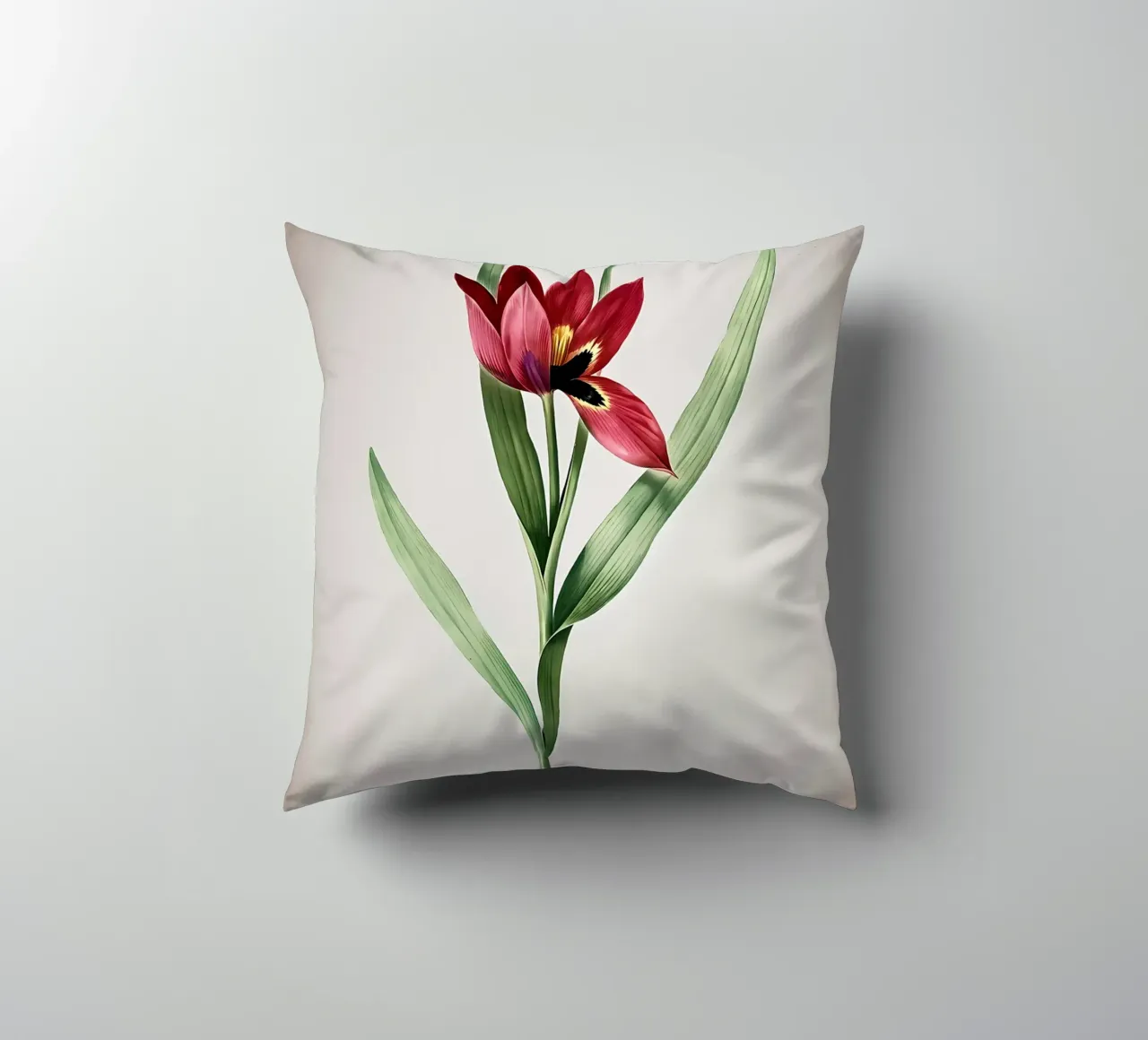 Tulipa Oculus Colis cuscino da Nicholas Campbell