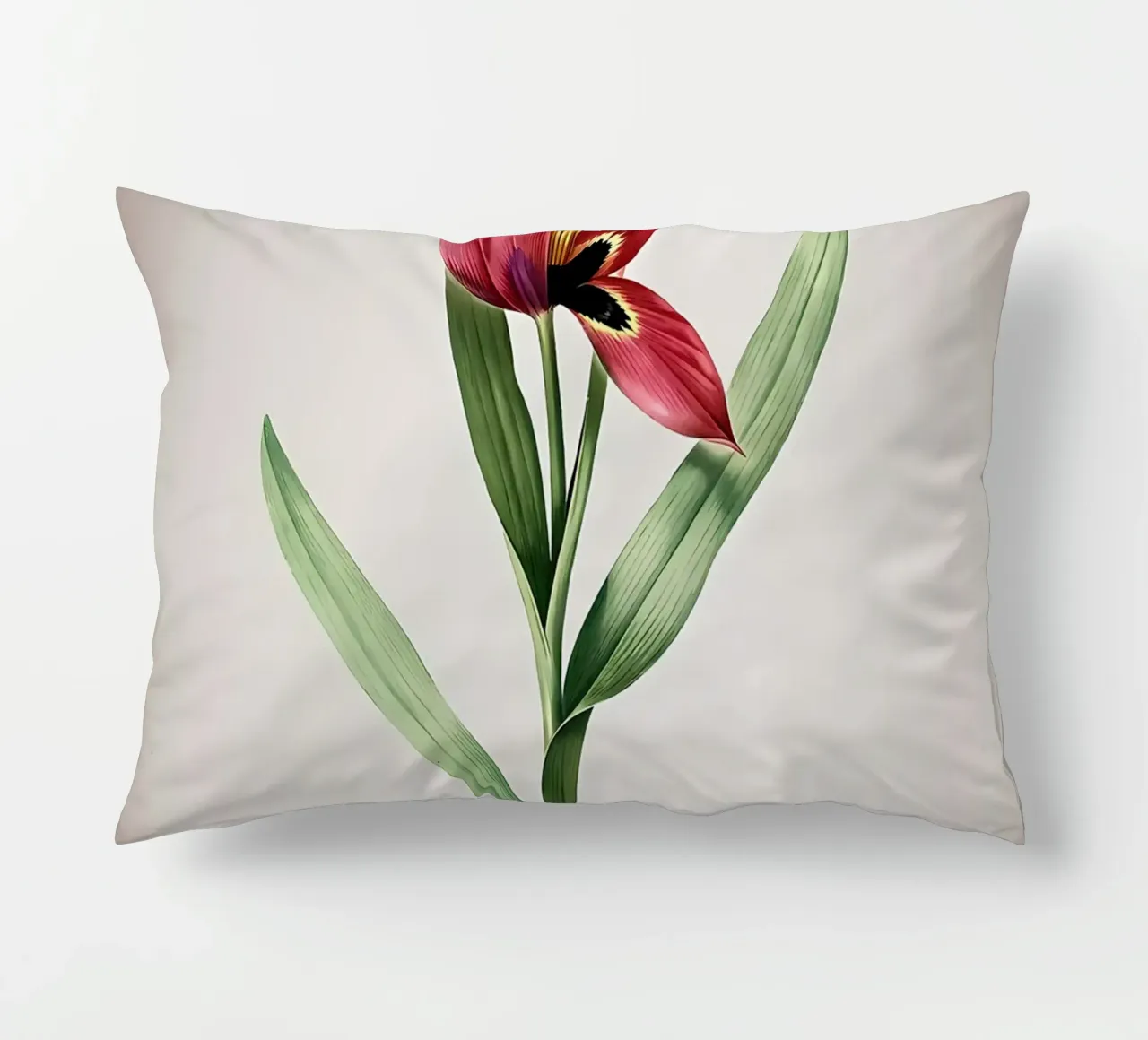 Tulipa Oculus Colis cuscino da Nicholas Campbell
