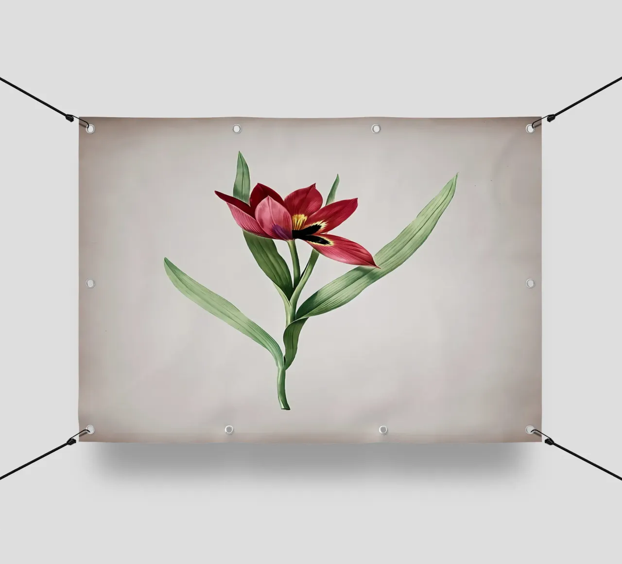Tulipa Oculus Colis telo in pvc da Nicholas Campbell