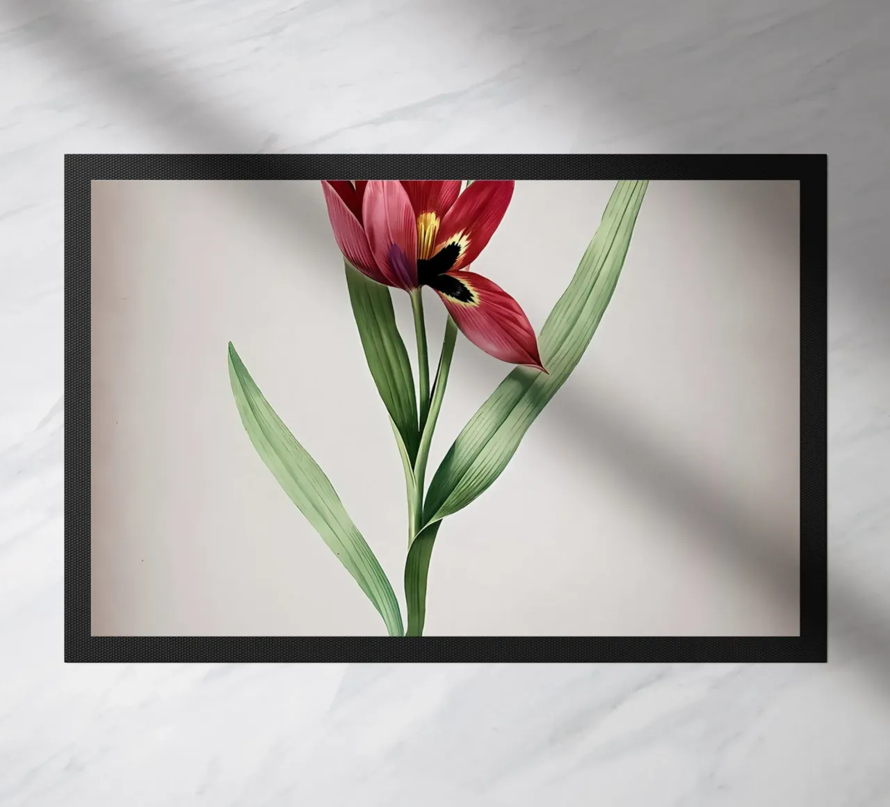 Tulipa Oculus Colis zerbino da Nicholas Campbell
