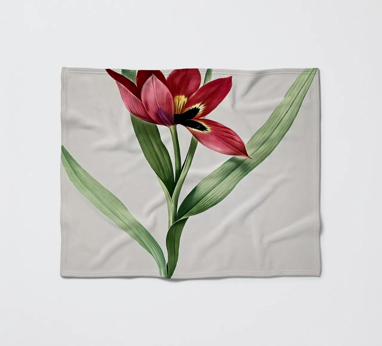 Tulipa Oculus Colis coperta in pile da Nicholas Campbell