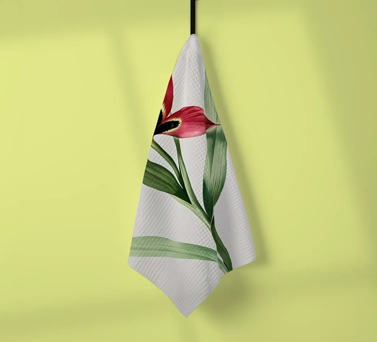 Tulipa Oculus Colis canovaccio da cucina da Nicholas Campbell