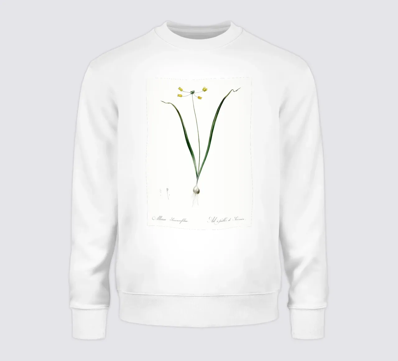 Liliaceae 1805 HQ Orig sudadera de Nicholas Campbell